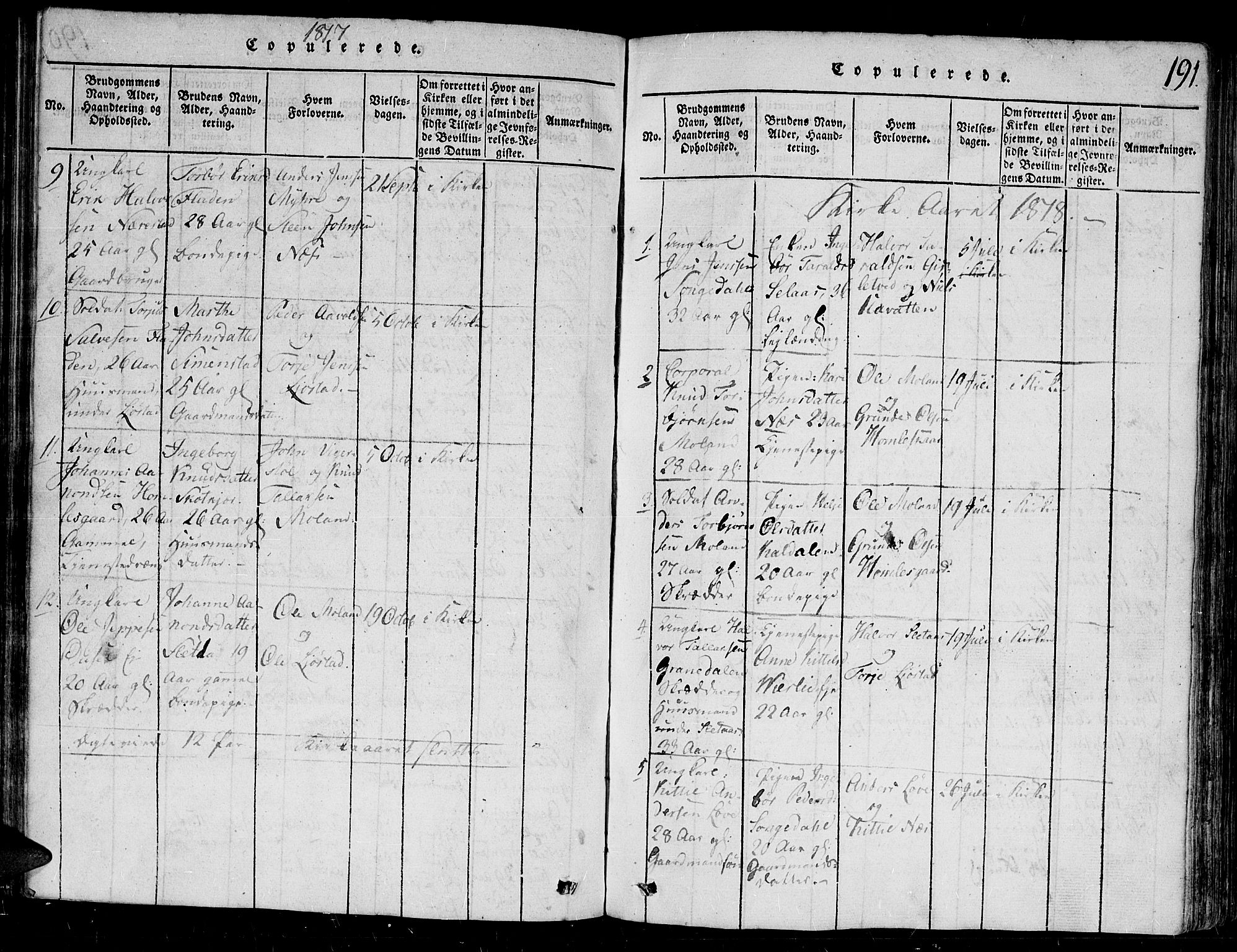 Gjerstad sokneprestkontor, SAK/1111-0014/F/Fb/Fbb/L0001: Parish register (copy) no. B 1, 1813-1863, p. 191