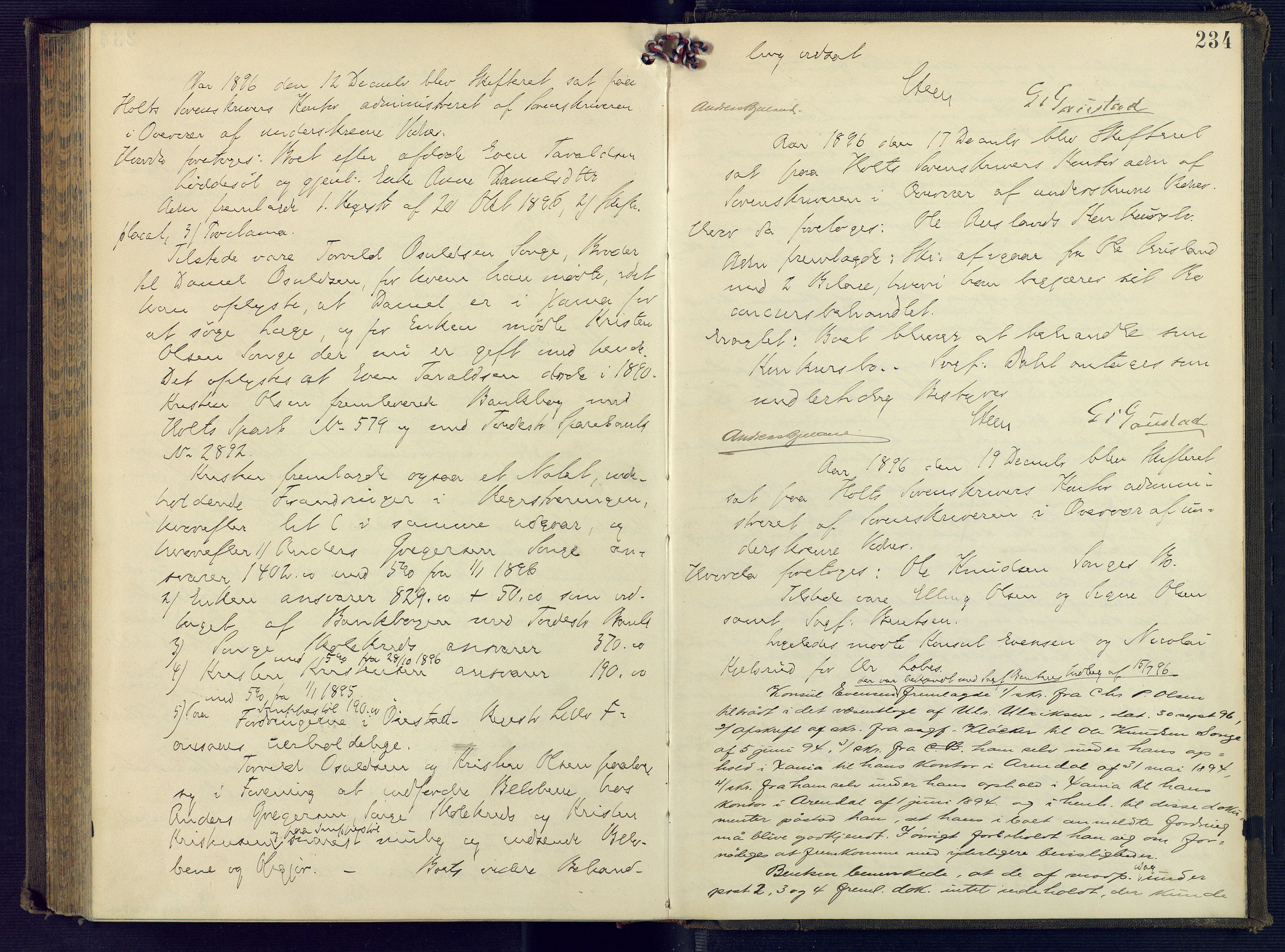Holt sorenskriveri, AV/SAK-1221-0002/H/Hc/L0018: Skiftebehandlingsprotokoll nr. 9, 1890-1897, p. 233b-234a