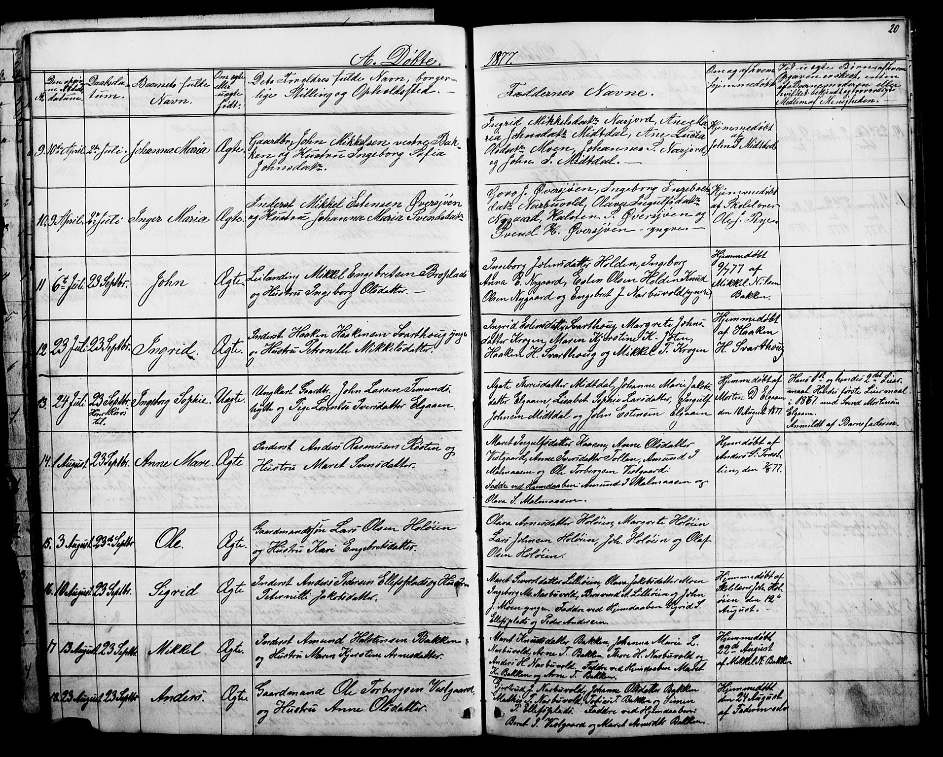 Tolga prestekontor, SAH/PREST-062/L/L0006: Parish register (copy) no. 6, 1864-1894, p. 20