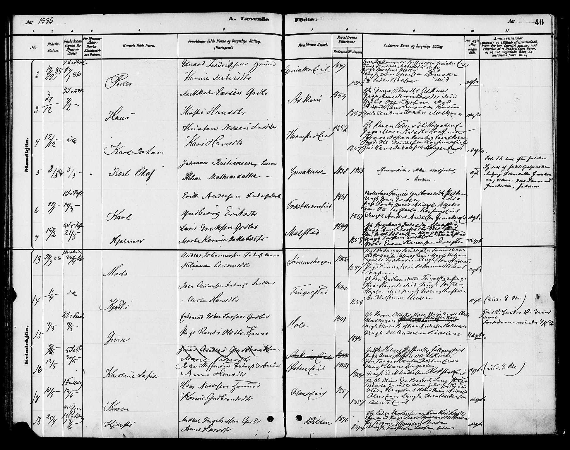 Gran prestekontor, AV/SAH-PREST-112/H/Ha/Haa/L0016: Parish register (official) no. 16, 1880-1888, p. 46