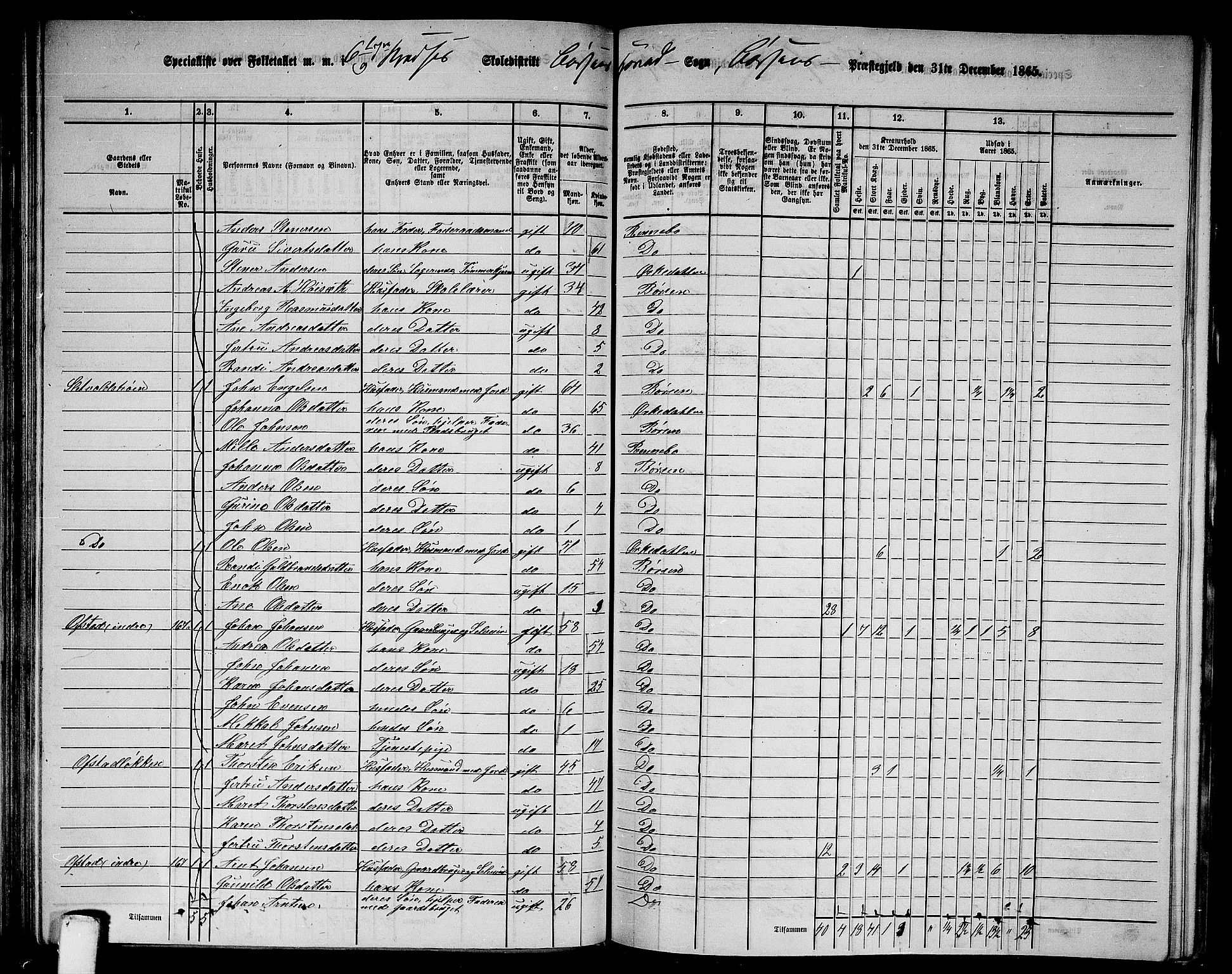 RA, 1865 census for Børsa, 1865, p. 93