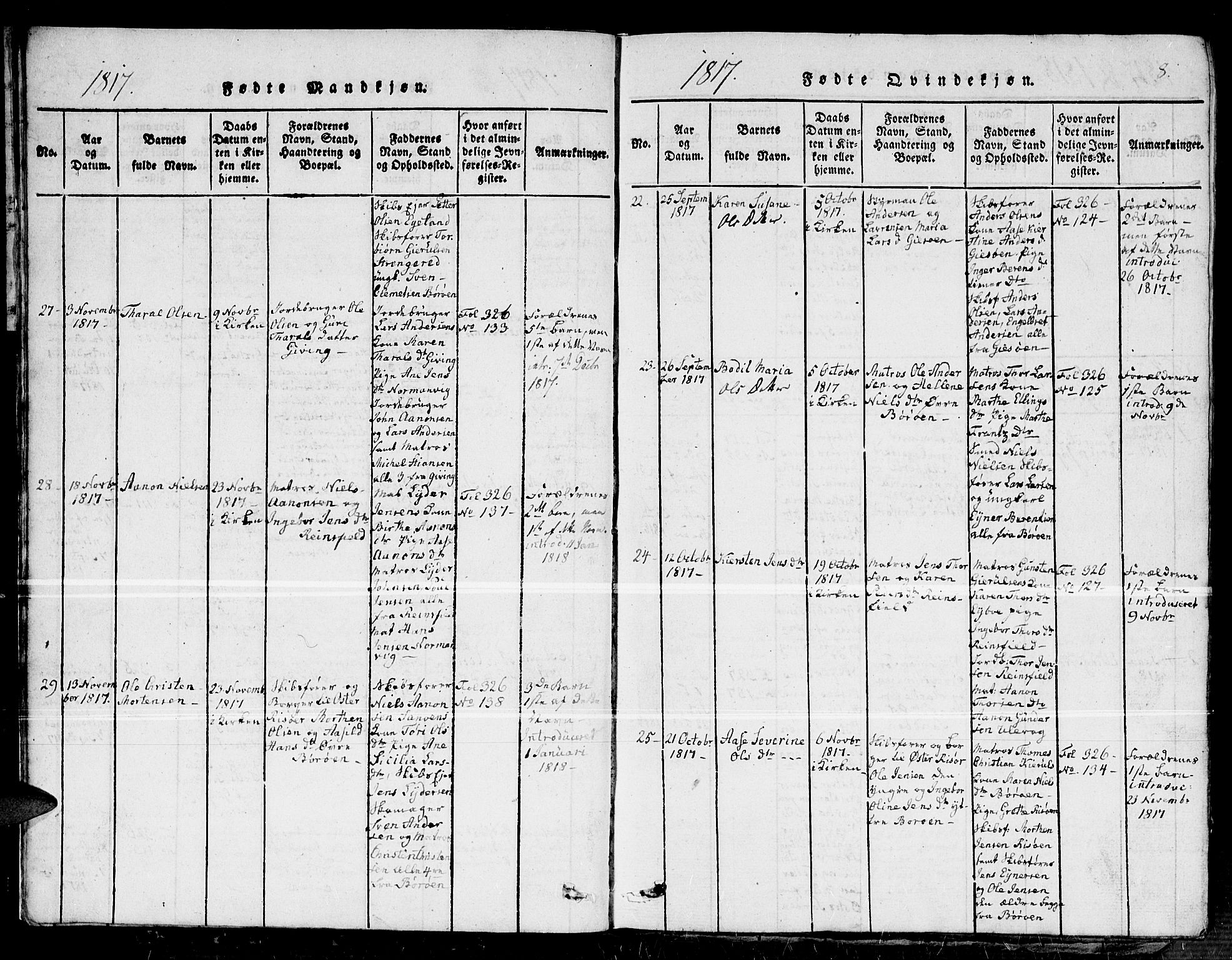 Dypvåg sokneprestkontor, SAK/1111-0007/F/Fb/Fba/L0009: Parish register (copy) no. B 9, 1816-1842, p. 8