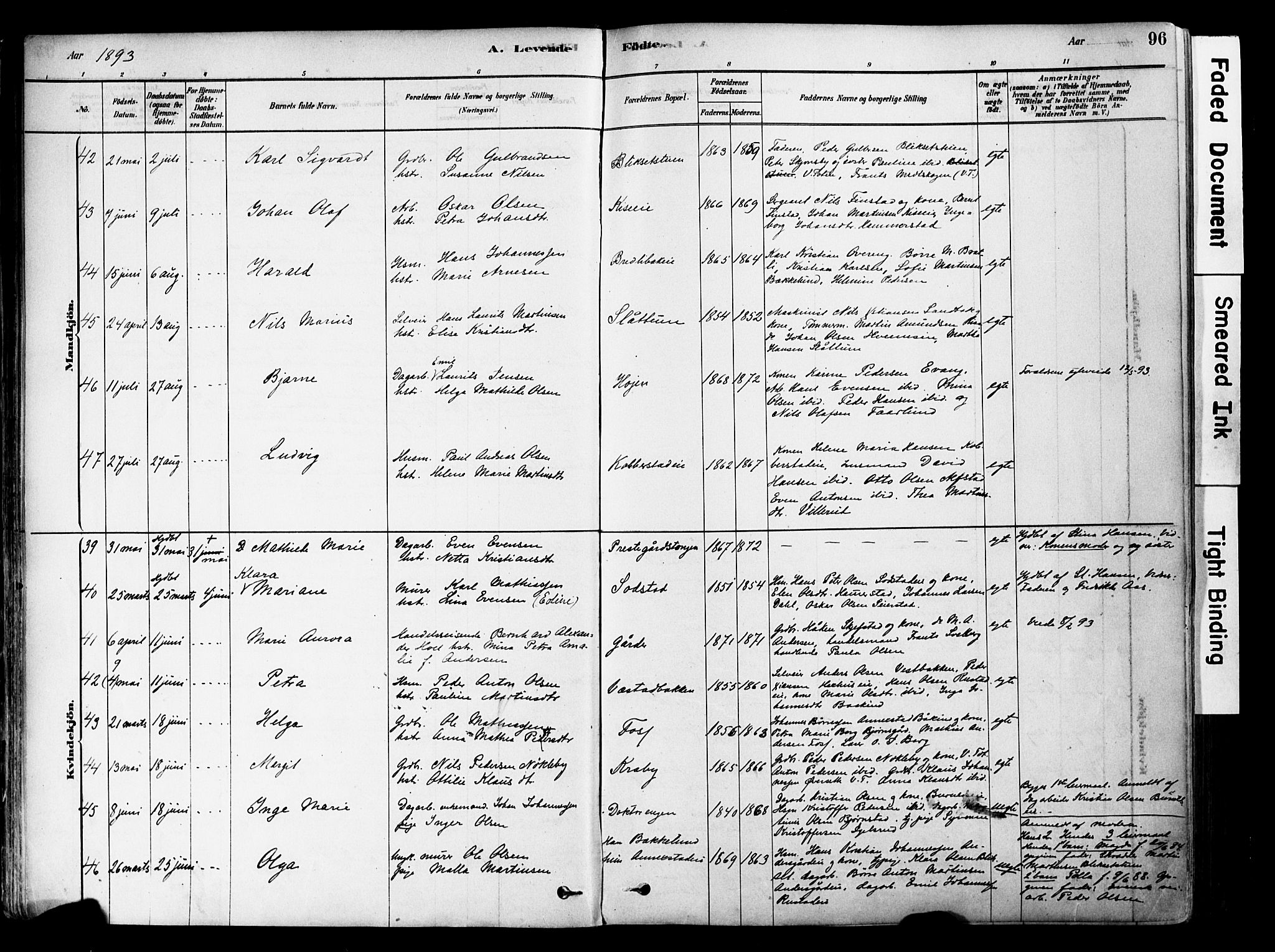 Østre Toten prestekontor, AV/SAH-PREST-104/H/Ha/Haa/L0006: Parish register (official) no. 6 /1, 1878-1896, p. 96