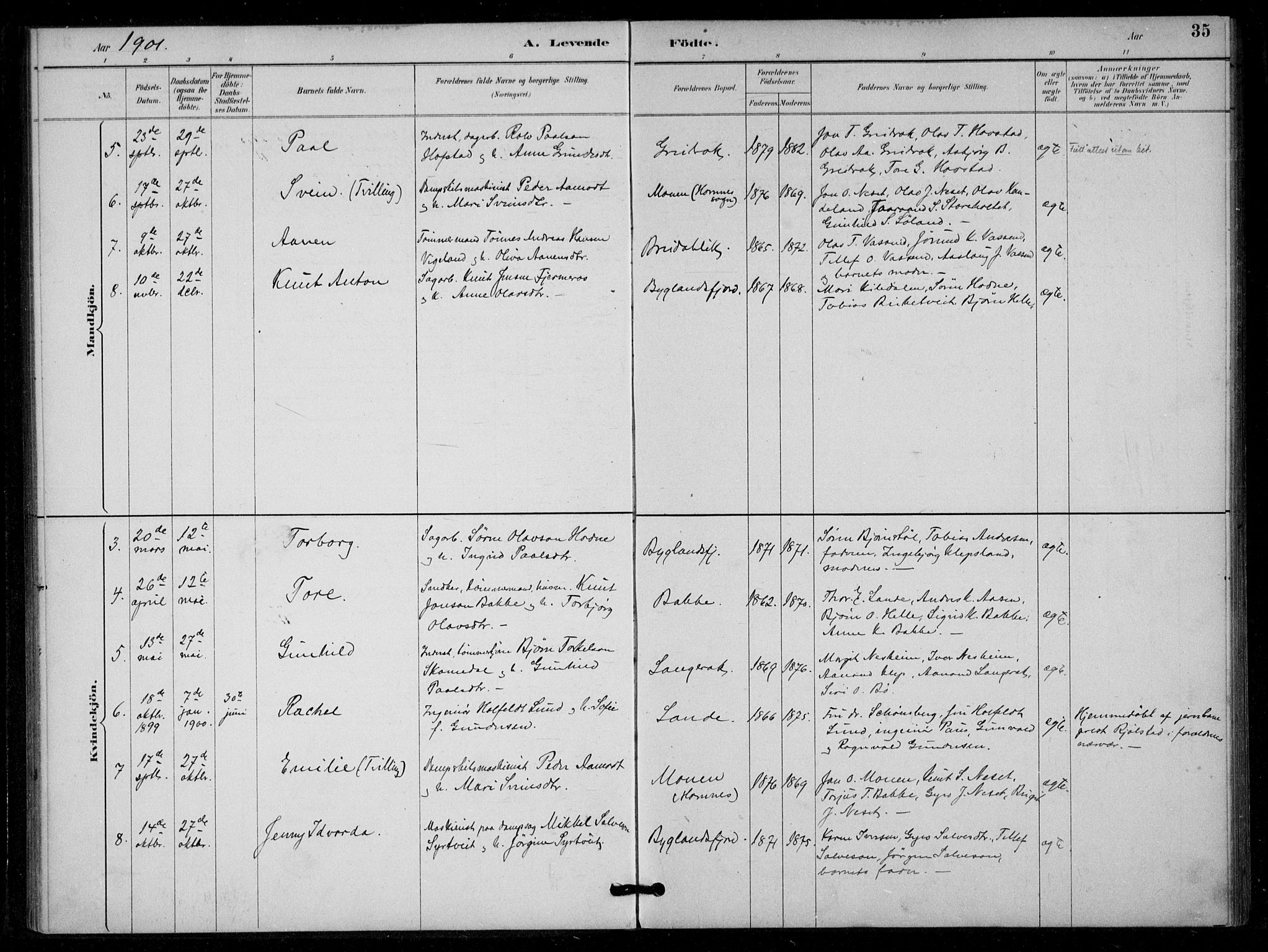 Bygland sokneprestkontor, AV/SAK-1111-0006/F/Fa/Fad/L0001: Parish register (official) no. A 1, 1885-1906, p. 35