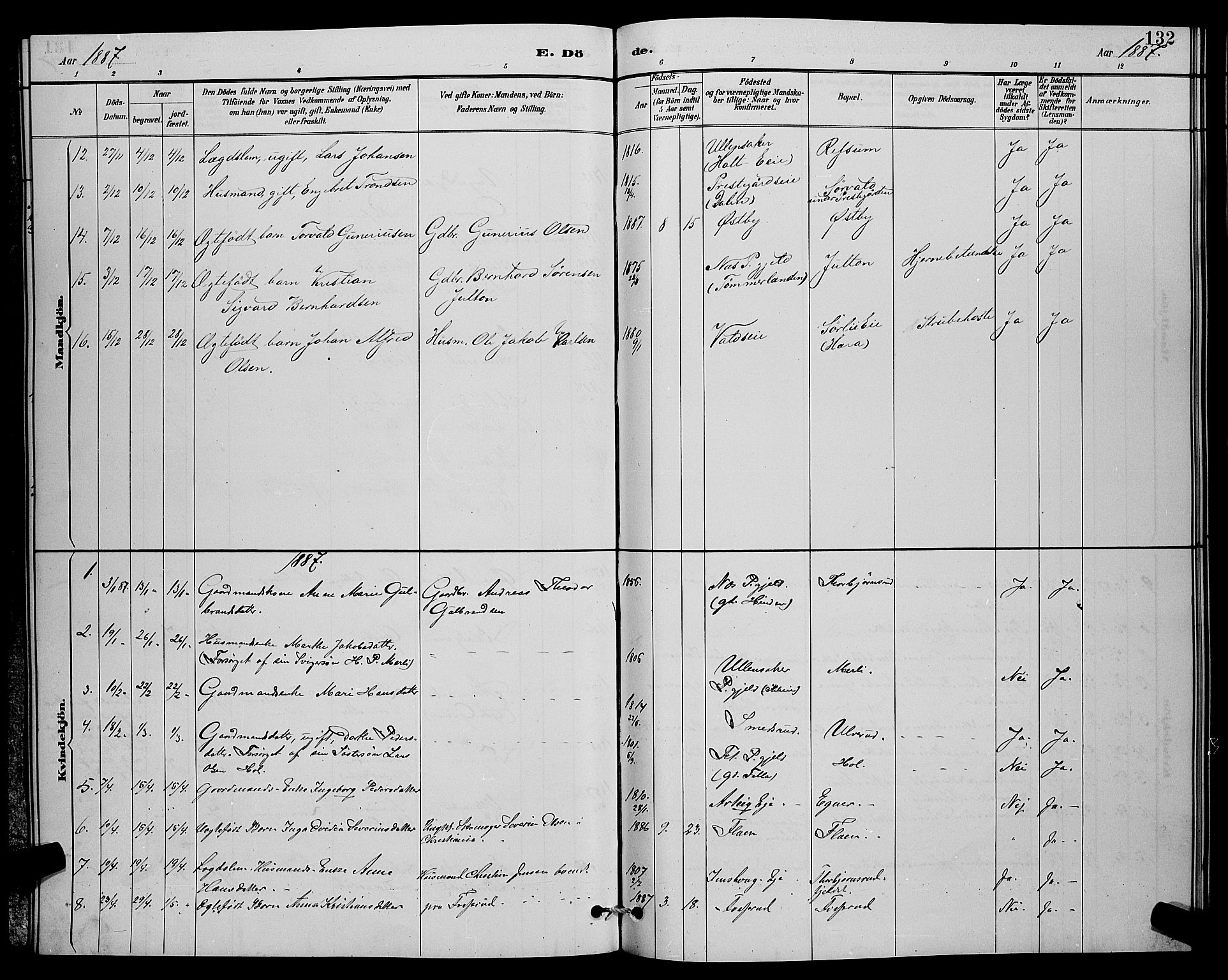 Sørum prestekontor Kirkebøker, SAO/A-10303/G/Ga/L0005: Parish register (copy) no. I 5.1, 1886-1894, p. 132