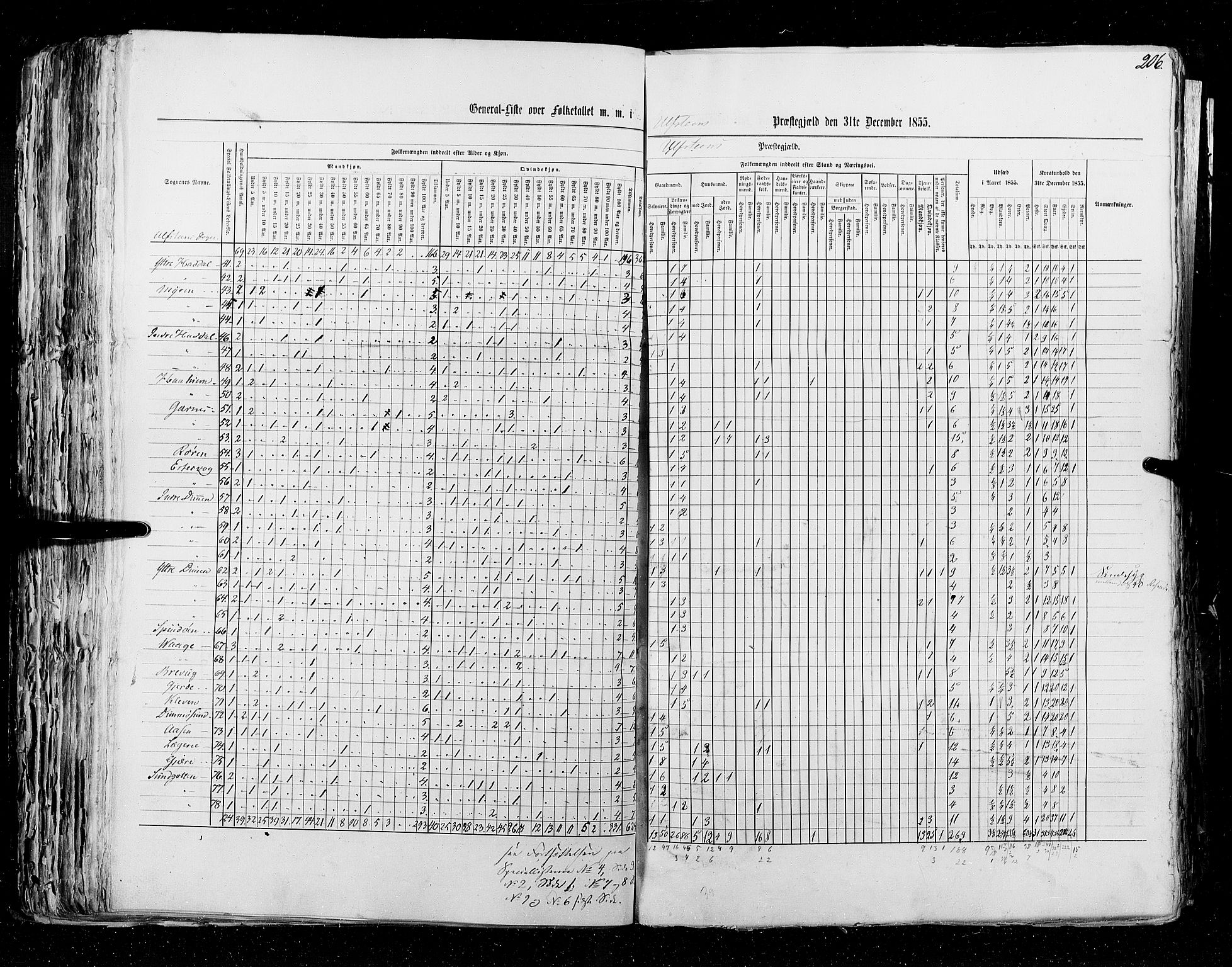 RA, Census 1855, vol. 5: Nordre Bergenhus amt, Romsdal amt og Søndre Trondhjem amt, 1855, p. 206