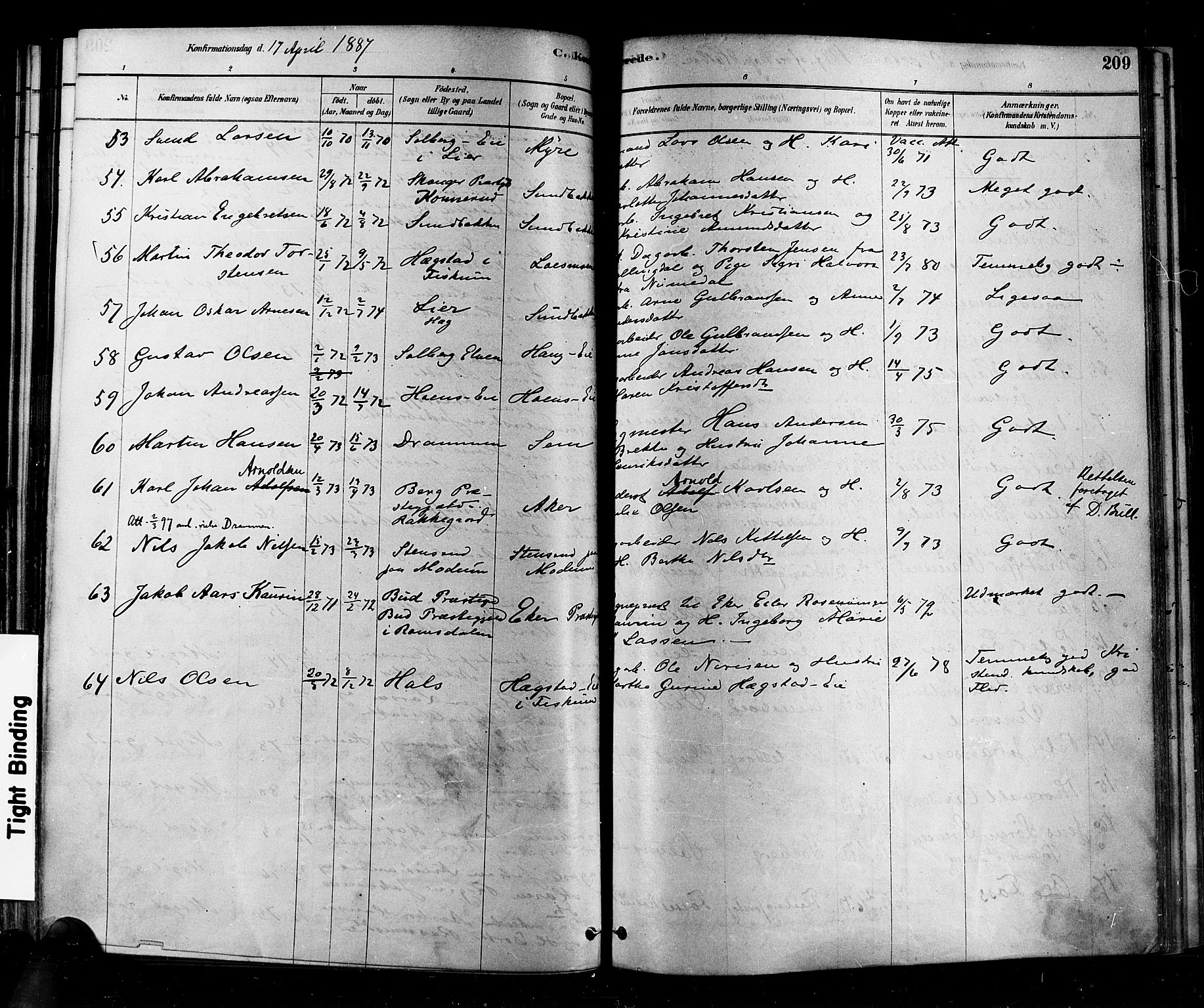 Eiker kirkebøker, AV/SAKO-A-4/F/Fb/L0001: Parish register (official) no. II 1, 1878-1888, p. 209