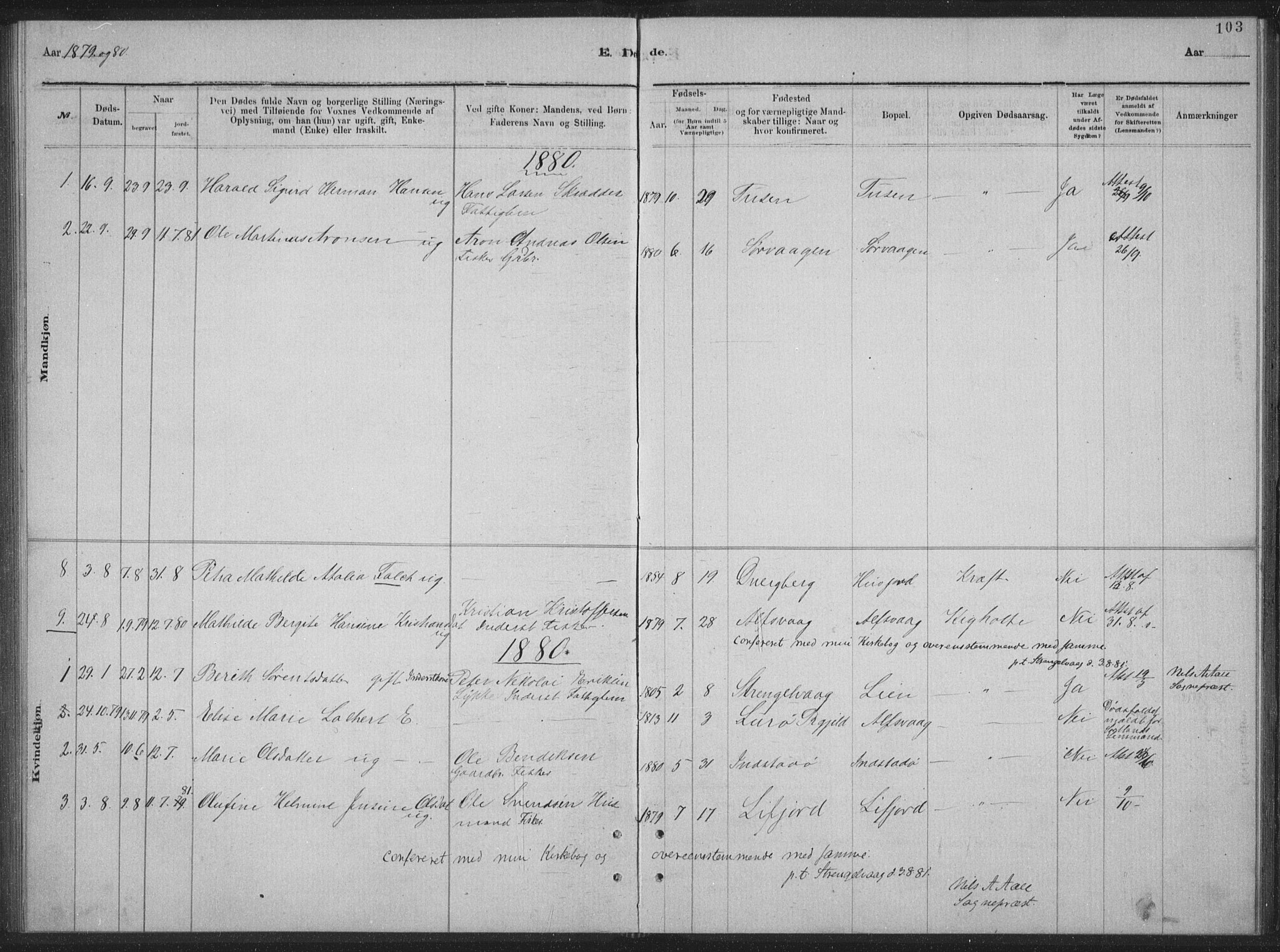 Ministerialprotokoller, klokkerbøker og fødselsregistre - Nordland, AV/SAT-A-1459/894/L1359: Parish register (copy) no. 894C02, 1877-1884, p. 103