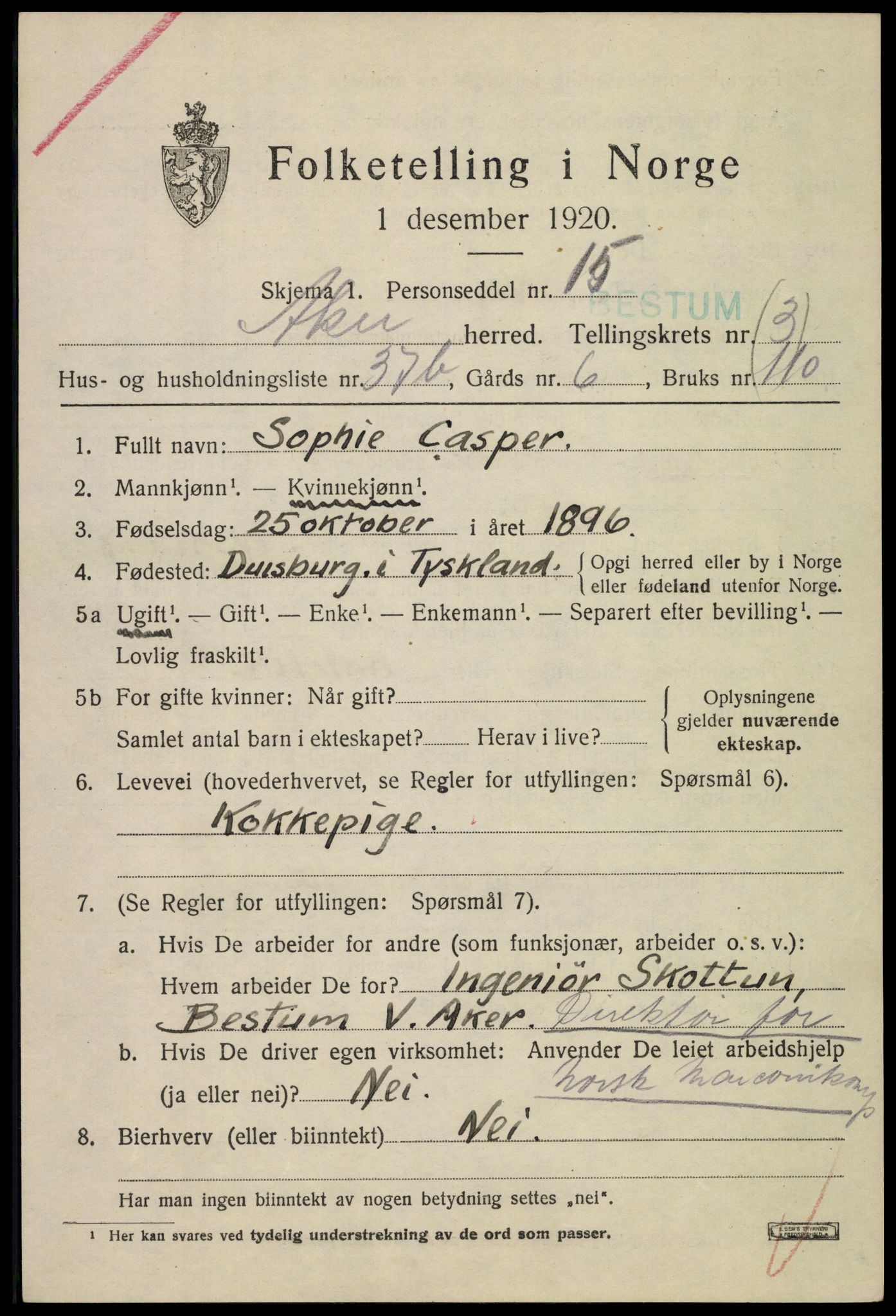 SAO, 1920 census for Aker, 1920, p. 24364