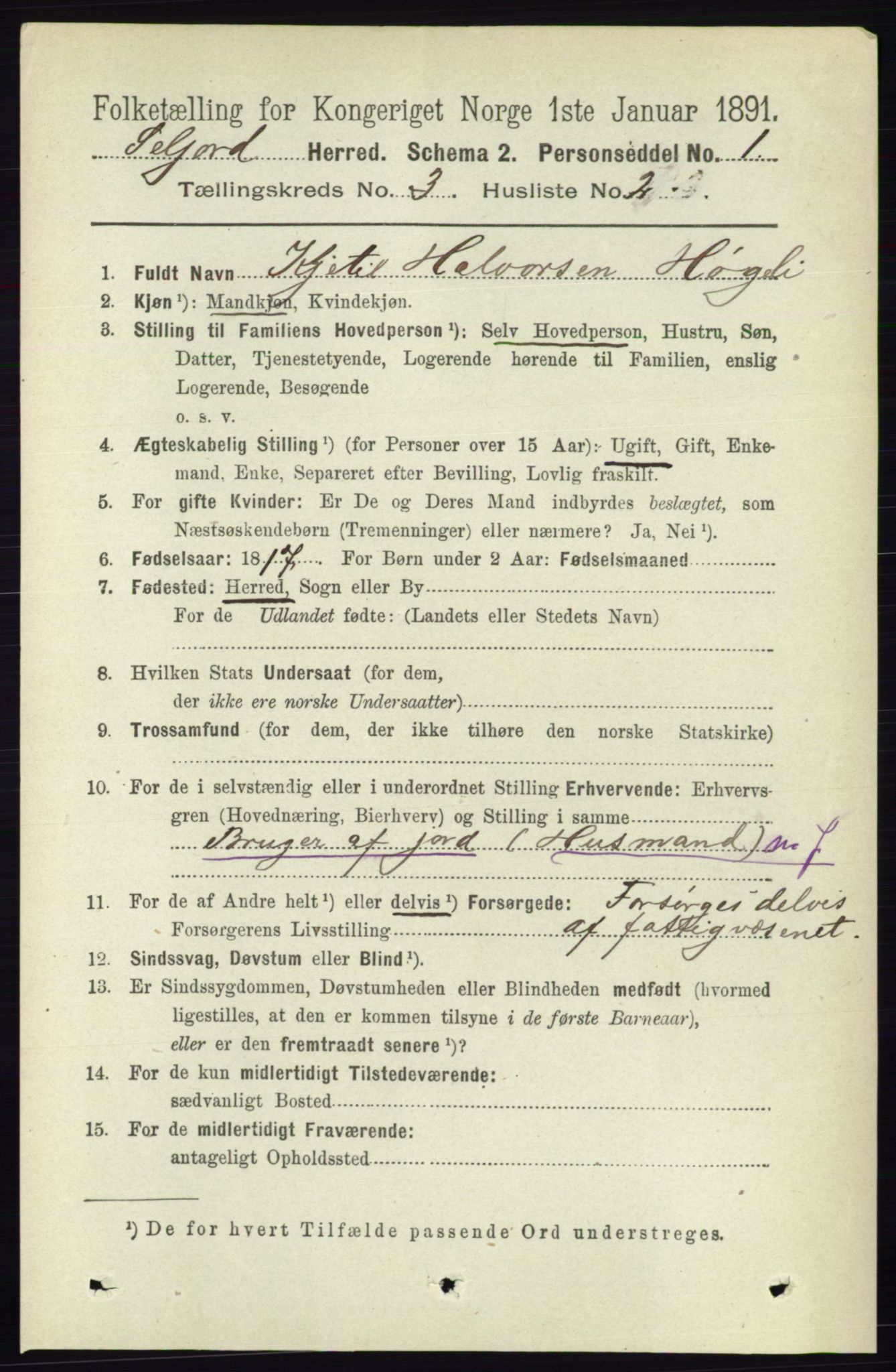 RA, 1891 census for 0828 Seljord, 1891, p. 987