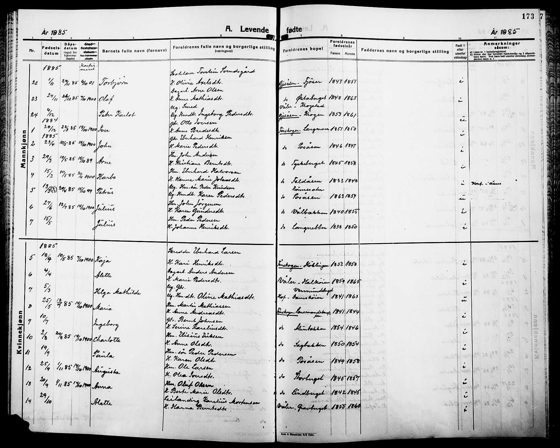 Åsnes prestekontor, AV/SAH-PREST-042/H/Ha/Haa/L0000B: Parish register (official), 1870-1889, p. 173
