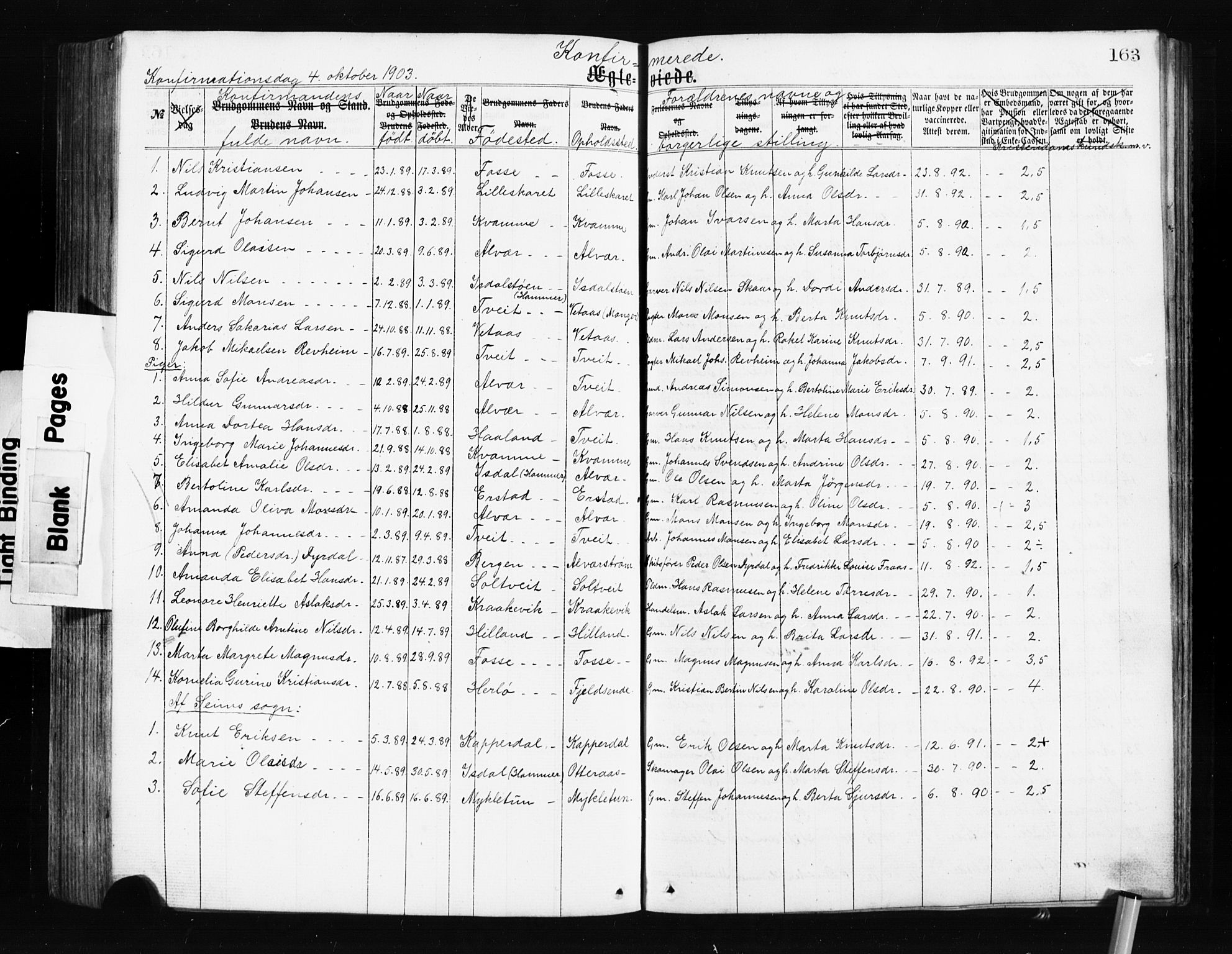 Alversund Sokneprestembete, SAB/A-73901/H/Ha/Hab: Parish register (copy) no. A 2, 1864-1905, p. 163
