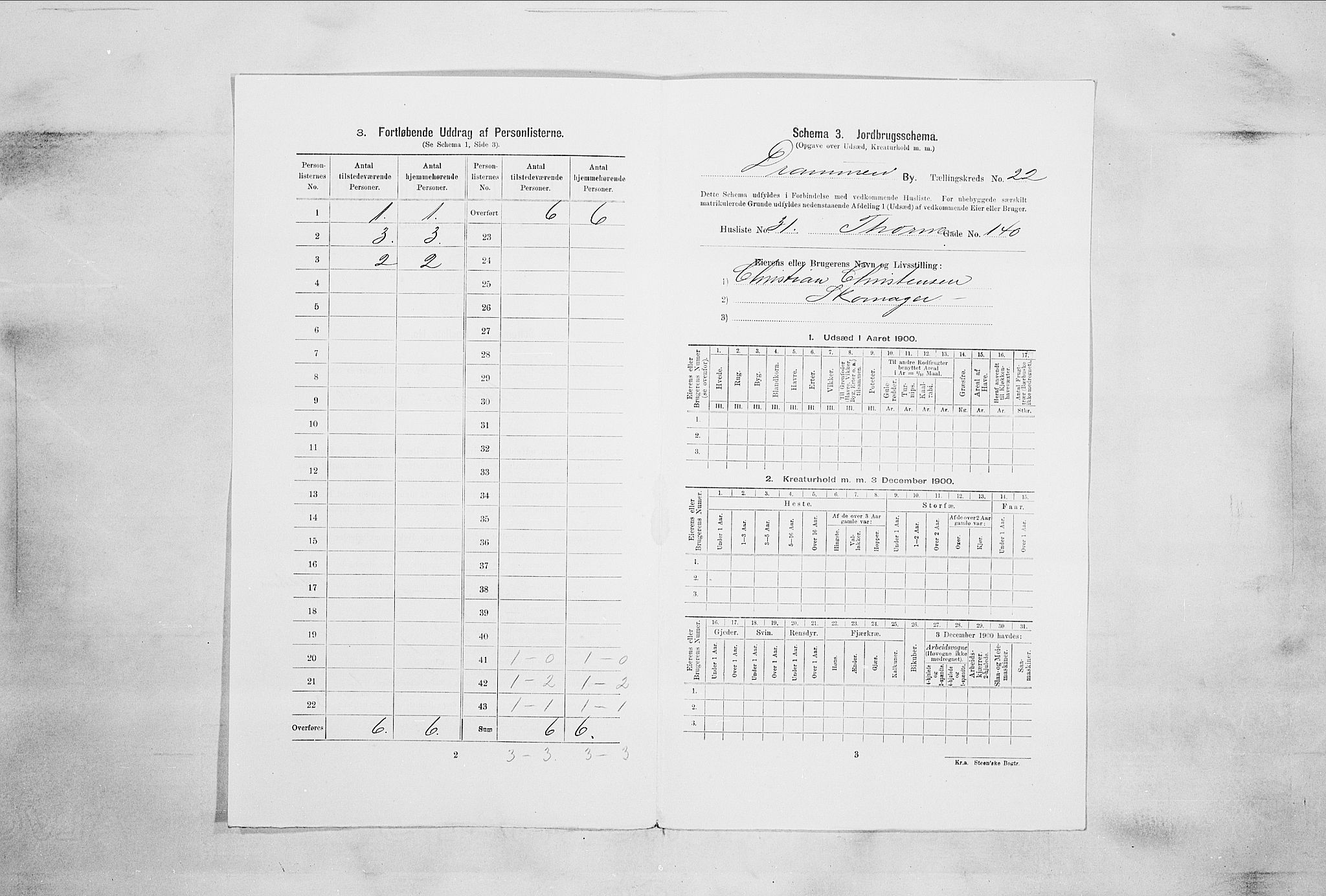 RA, 1900 census for Drammen, 1900, p. 13550