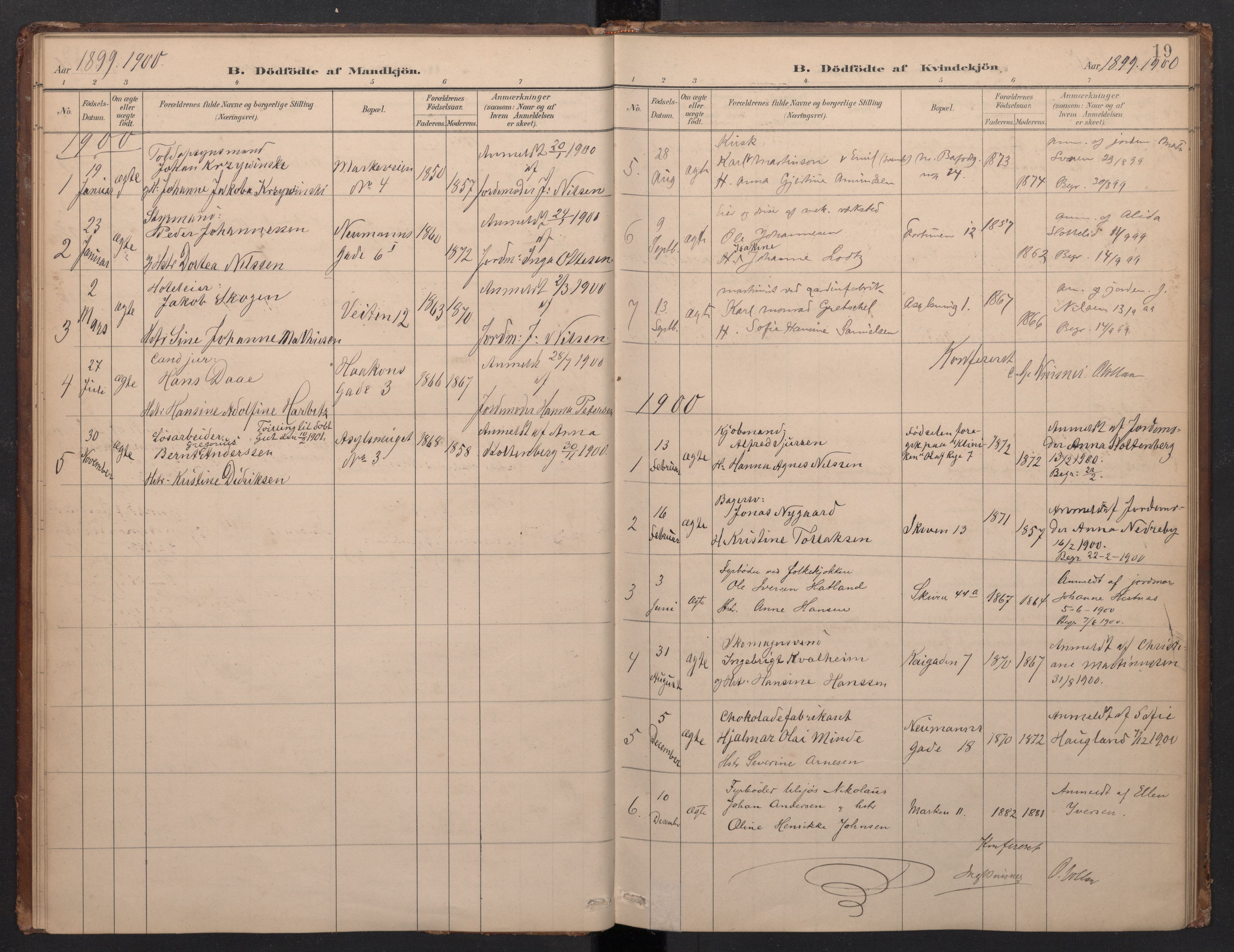 Domkirken sokneprestembete, SAB/A-74801/H/Haa/L0049: Parish register (official) no. G 1, 1882-1922, p. 18b-19a
