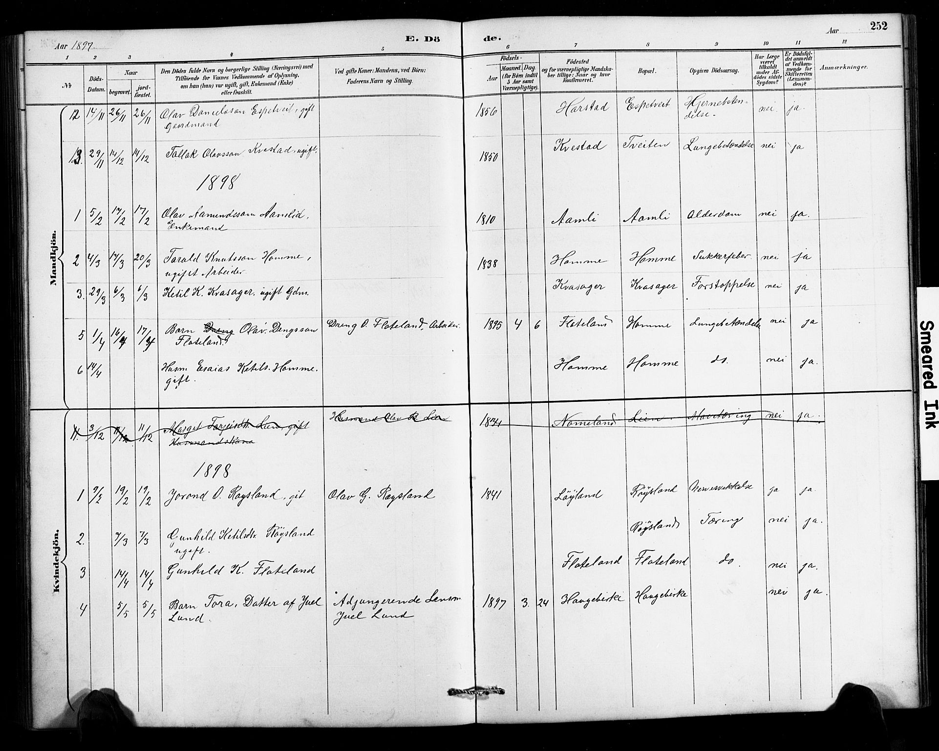 Valle sokneprestkontor, SAK/1111-0044/F/Fb/Fbc/L0004: Parish register (copy) no. B 4, 1890-1928, p. 252