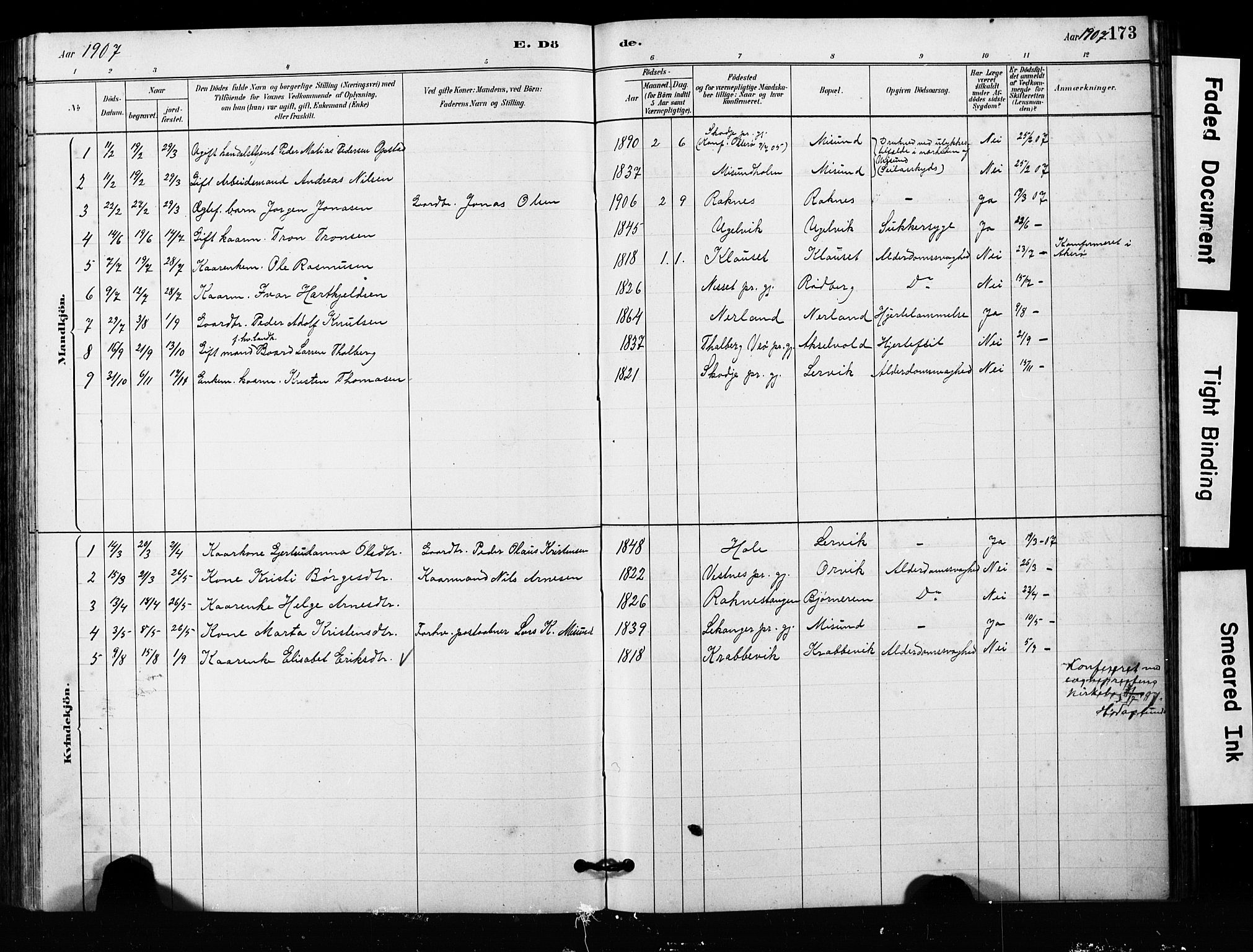 Ministerialprotokoller, klokkerbøker og fødselsregistre - Møre og Romsdal, SAT/A-1454/563/L0737: Parish register (copy) no. 563C01, 1878-1916, p. 173