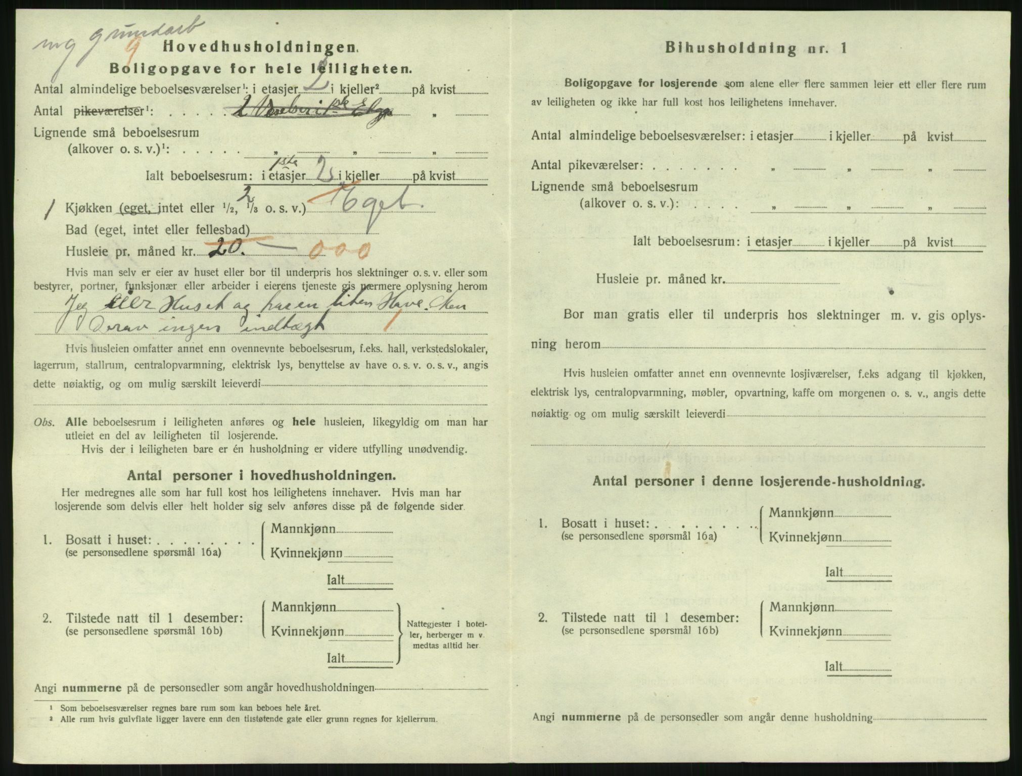 SAKO, 1920 census for Drammen, 1920, p. 16110