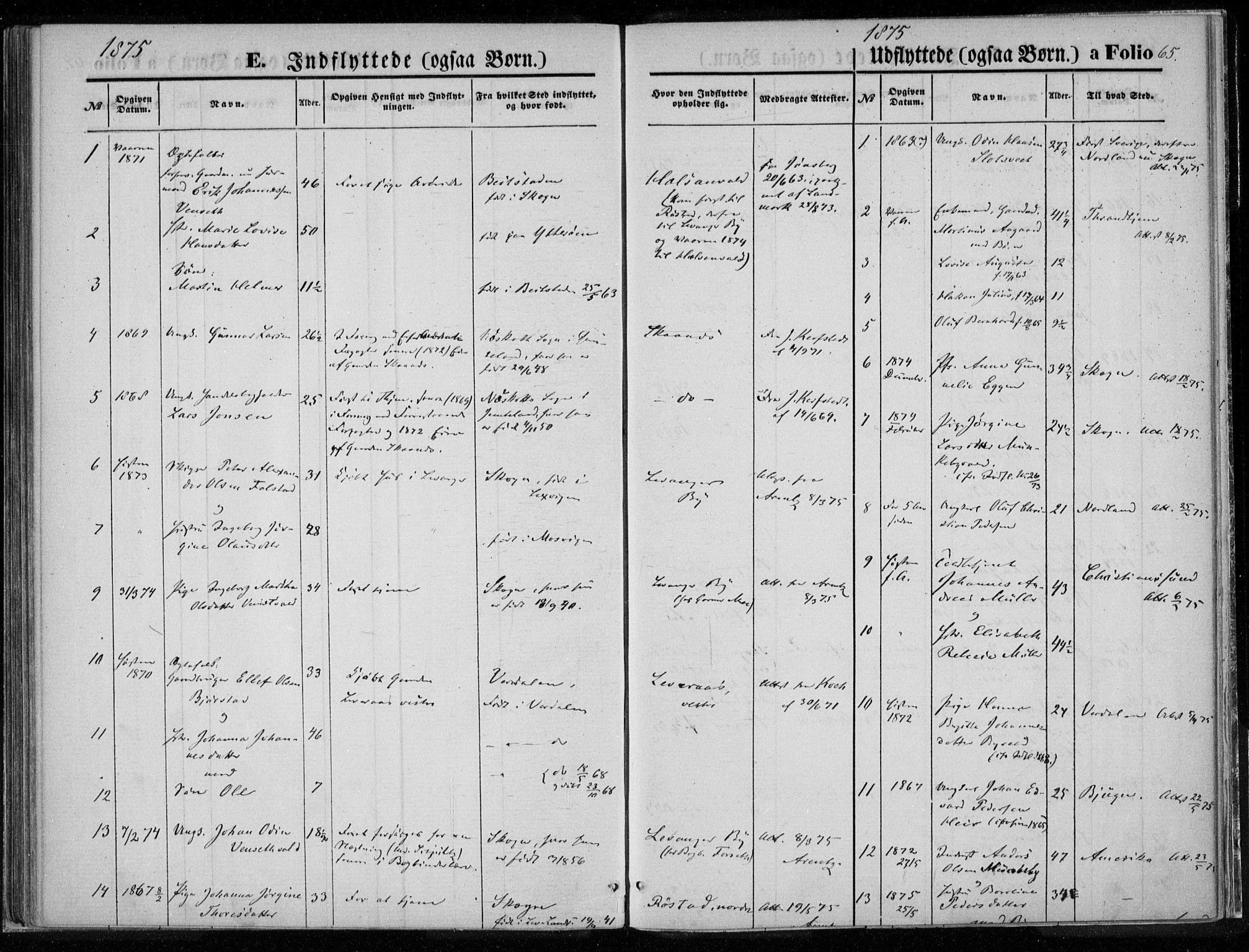 Ministerialprotokoller, klokkerbøker og fødselsregistre - Nord-Trøndelag, SAT/A-1458/720/L0187: Parish register (official) no. 720A04 /1, 1875-1879, p. 65
