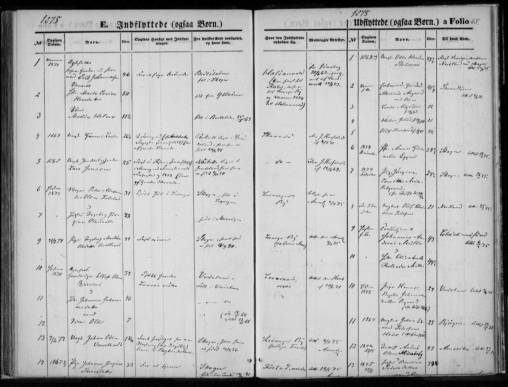 Ministerialprotokoller, klokkerbøker og fødselsregistre - Nord-Trøndelag, AV/SAT-A-1458/720/L0187: Parish register (official) no. 720A04 /1, 1875-1879, p. 65