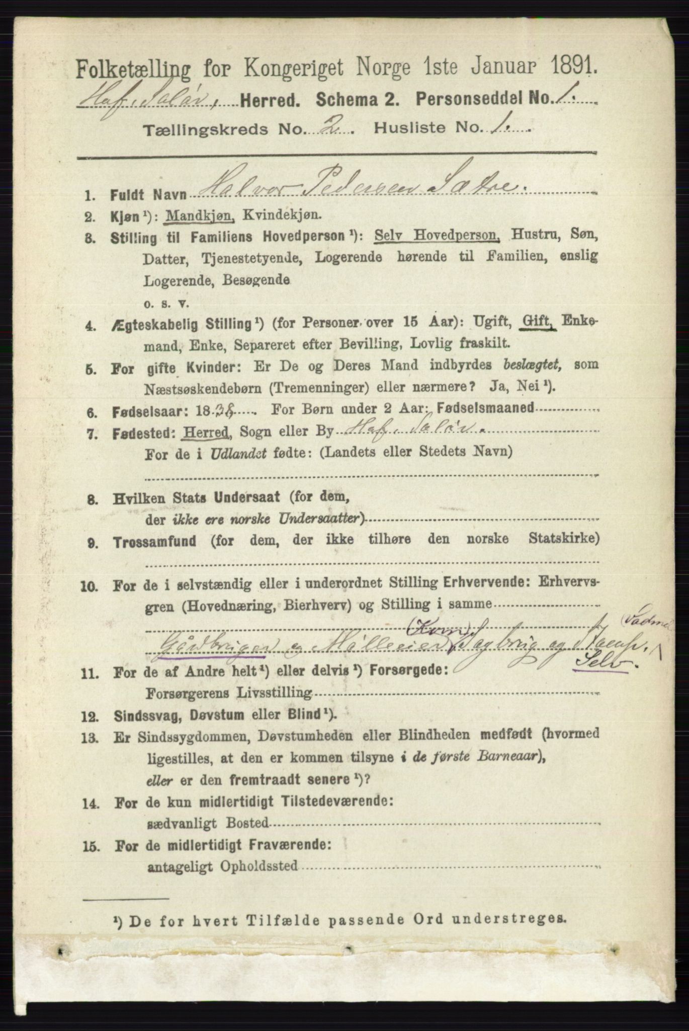 RA, 1891 census for 0424 Hof, 1891, p. 459