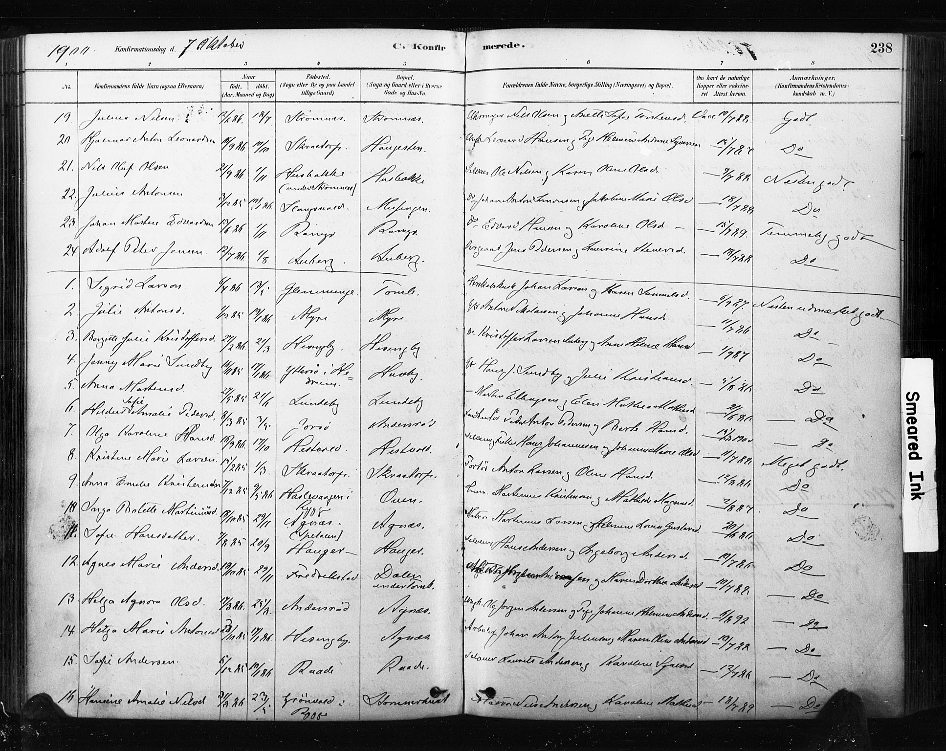 Råde prestekontor kirkebøker, SAO/A-2009/F/Fa/L0007: Parish register (official) no. 7, 1878-1902, p. 238