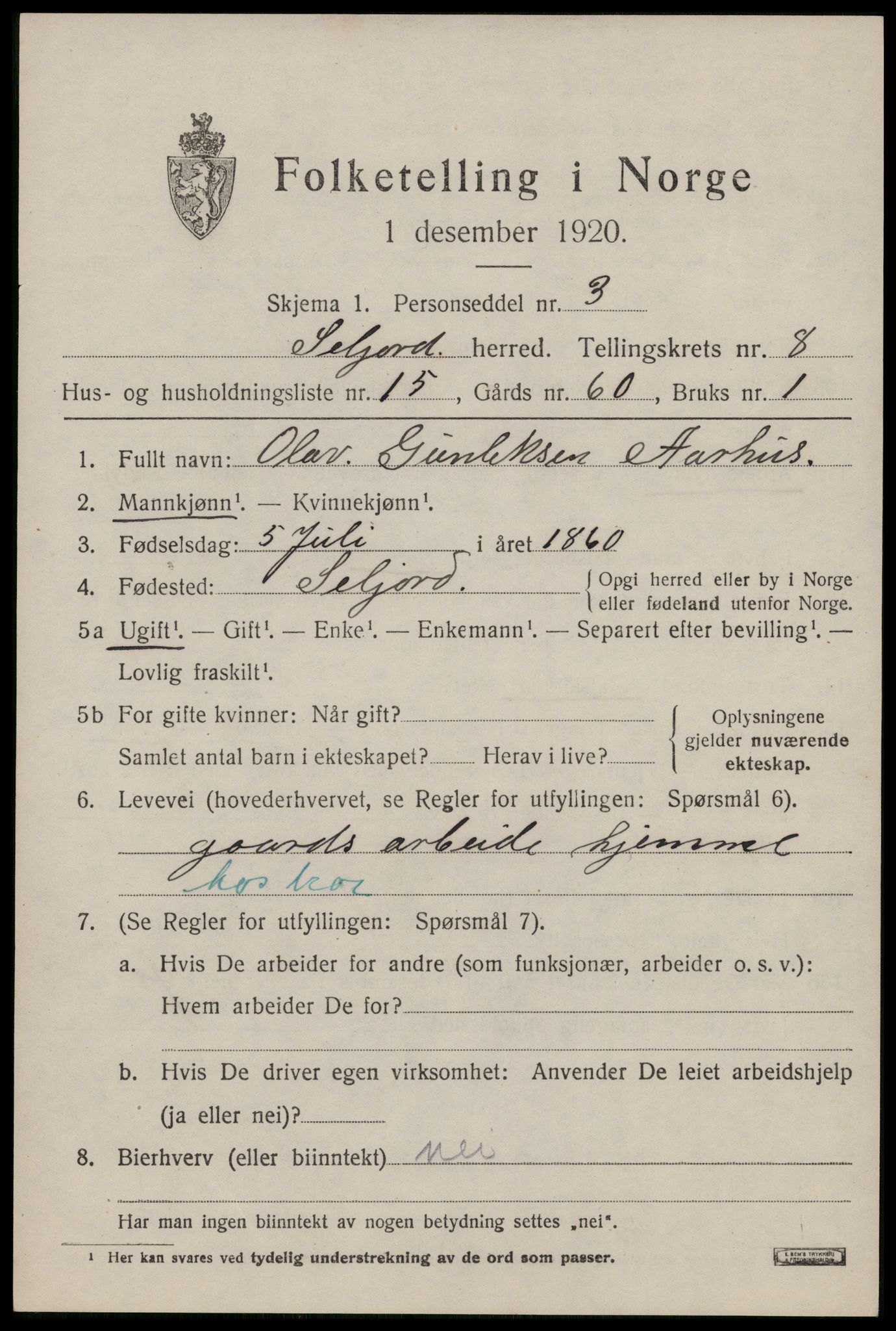 SAKO, 1920 census for Seljord, 1920, p. 4044