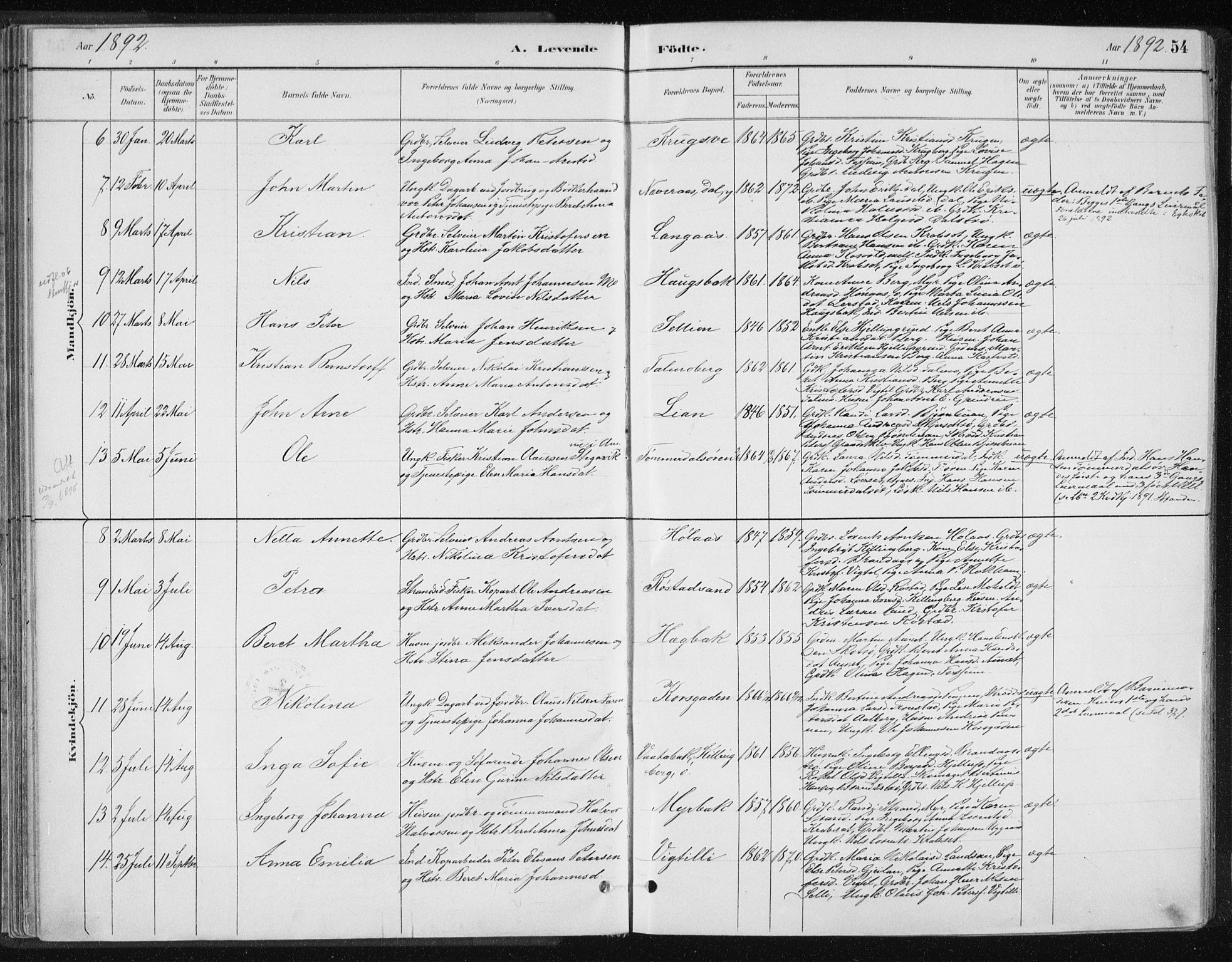 Ministerialprotokoller, klokkerbøker og fødselsregistre - Nord-Trøndelag, AV/SAT-A-1458/701/L0010: Parish register (official) no. 701A10, 1883-1899, p. 54