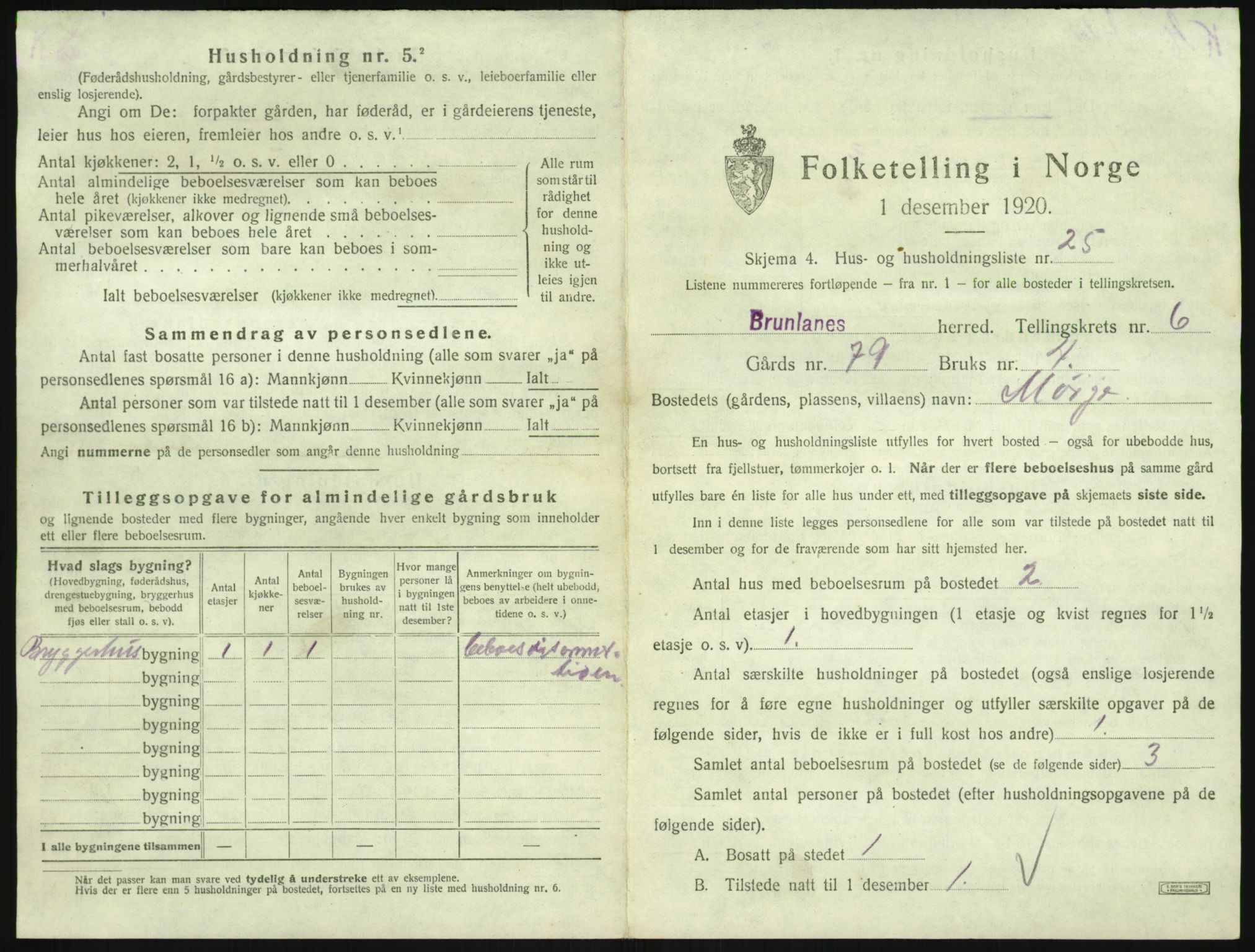 SAKO, 1920 census for Brunlanes, 1920, p. 913