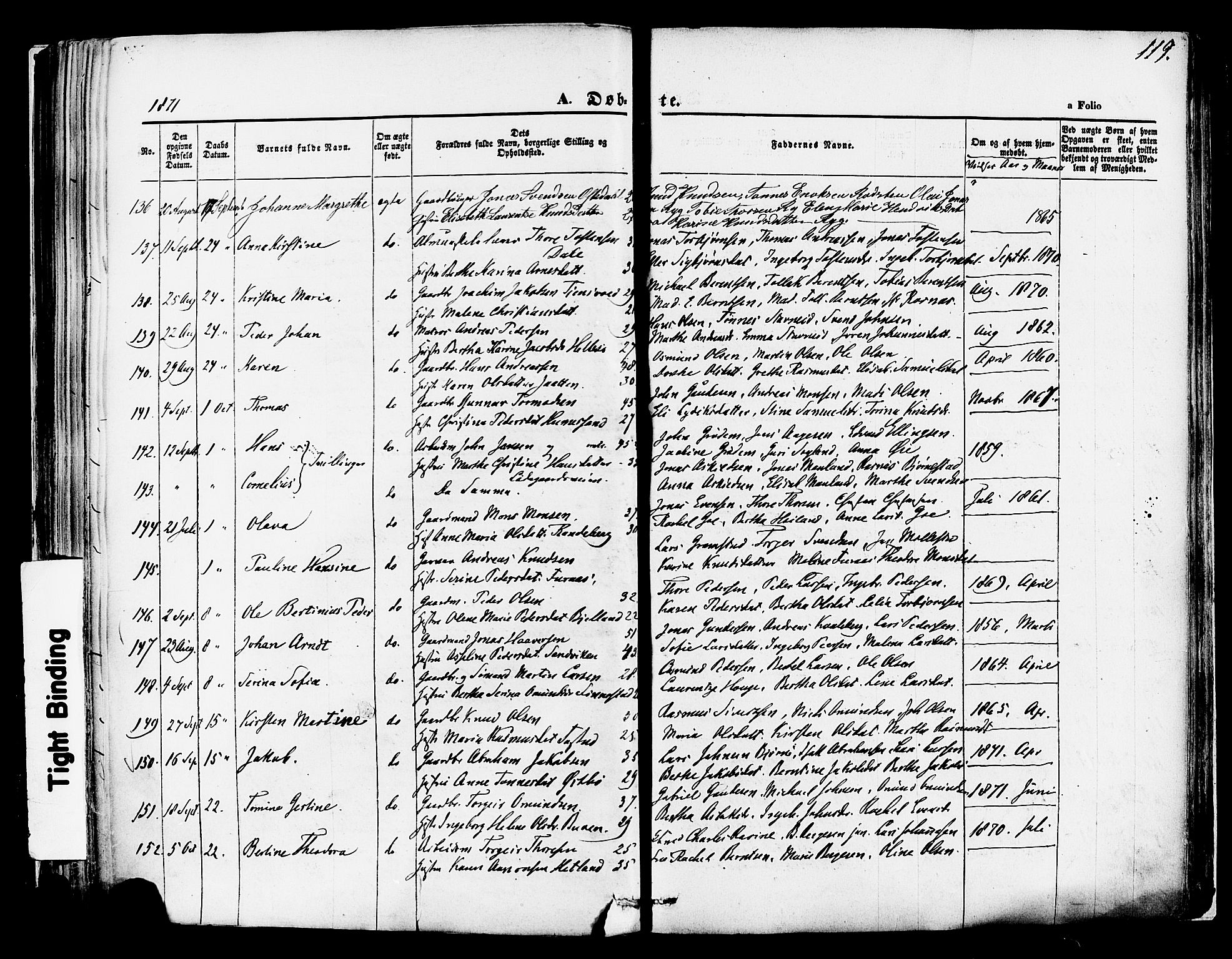 Hetland sokneprestkontor, SAST/A-101826/30/30BA/L0003: Parish register (official) no. A 3, 1862-1876, p. 119
