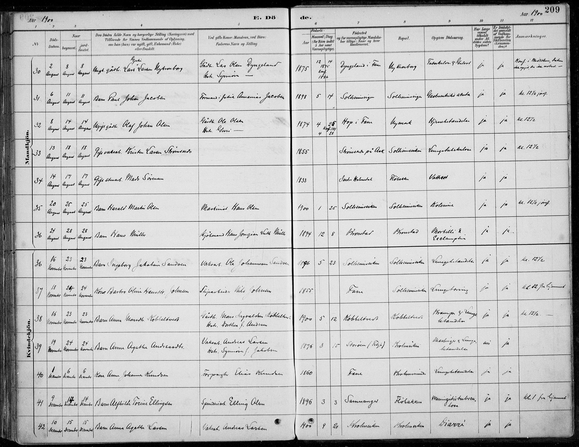 Årstad Sokneprestembete, AV/SAB-A-79301/H/Haa/L0006: Parish register (official) no. B 1, 1886-1901, p. 209