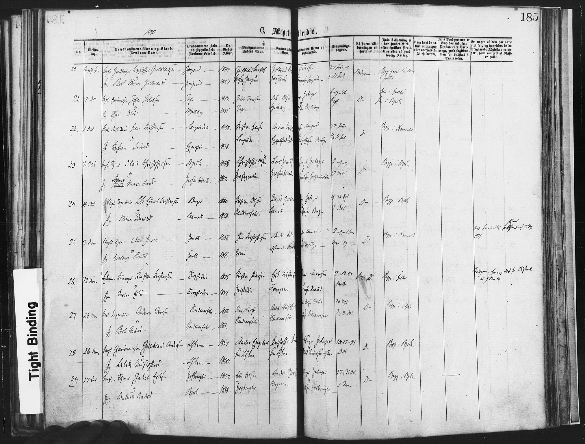 Nannestad prestekontor Kirkebøker, AV/SAO-A-10414a/F/Fa/L0013: Parish register (official) no. I 13, 1873-1880, p. 185