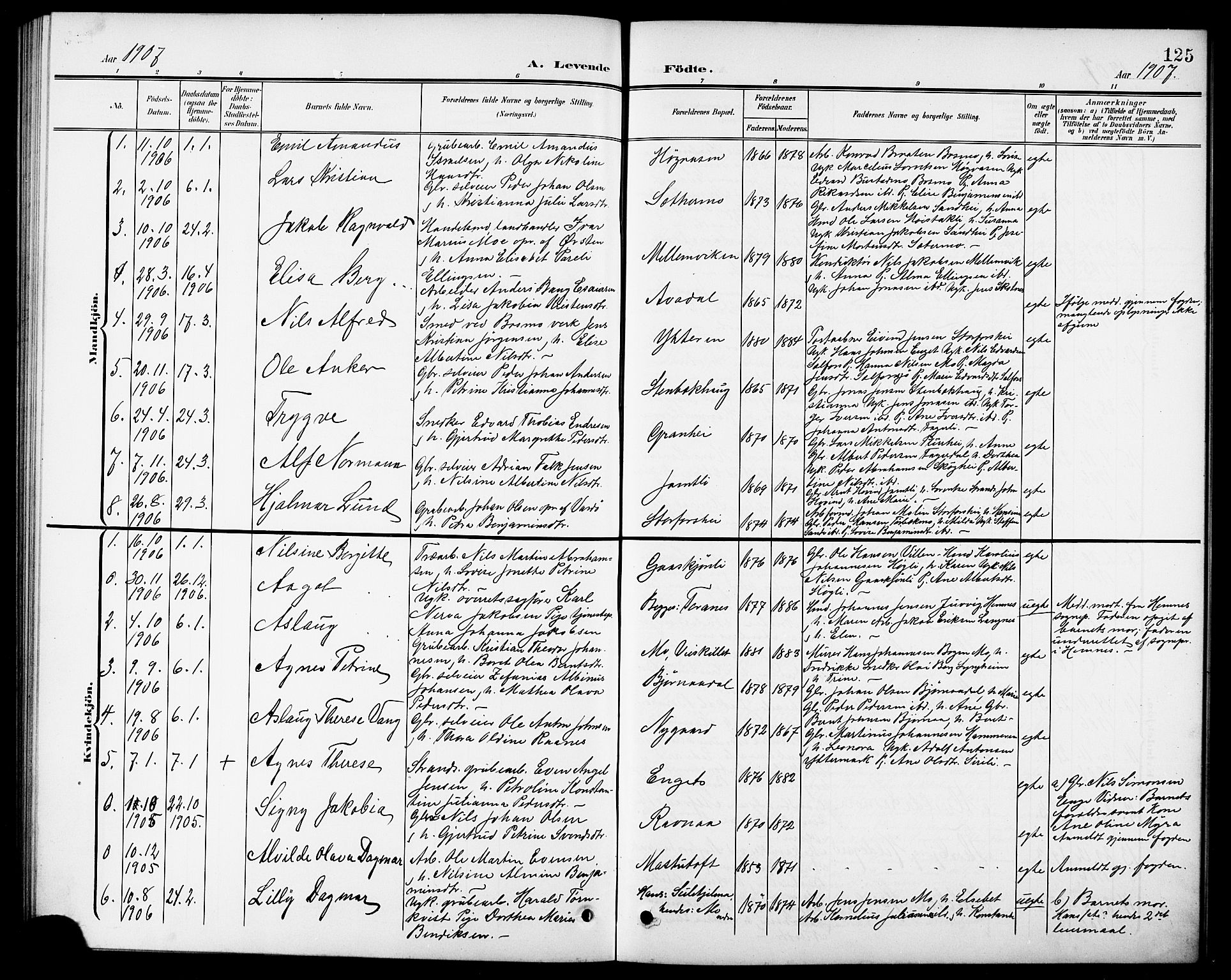 Ministerialprotokoller, klokkerbøker og fødselsregistre - Nordland, SAT/A-1459/827/L0422: Parish register (copy) no. 827C11, 1899-1912, p. 125