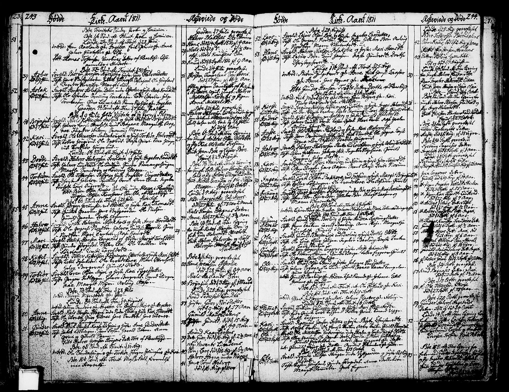 Bø kirkebøker, SAKO/A-257/F/Fa/L0005: Parish register (official) no. 5, 1785-1815, p. 243-244
