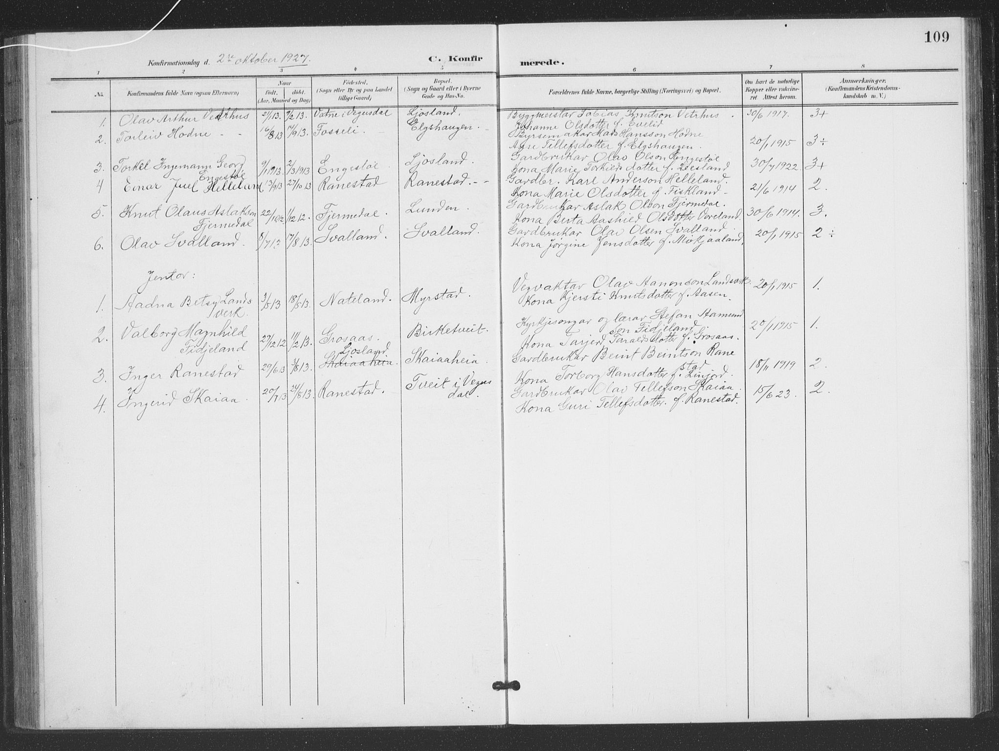Evje sokneprestkontor, SAK/1111-0008/F/Fb/Fbc/L0005: Parish register (copy) no. B 5, 1901-1935, p. 109