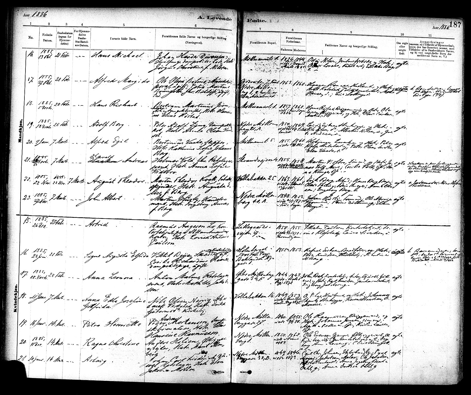 Ministerialprotokoller, klokkerbøker og fødselsregistre - Sør-Trøndelag, AV/SAT-A-1456/604/L0188: Parish register (official) no. 604A09, 1878-1892, p. 187