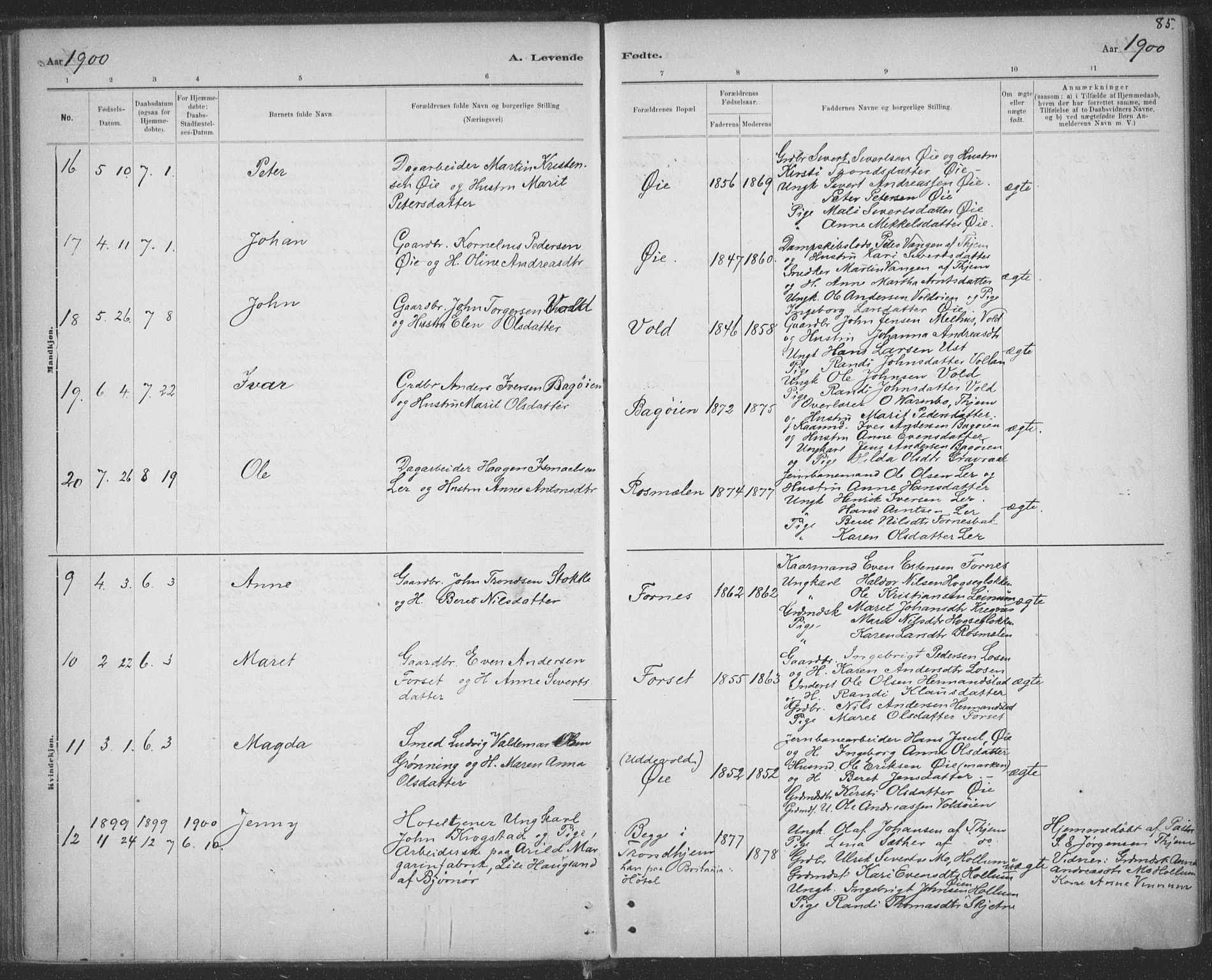 Ministerialprotokoller, klokkerbøker og fødselsregistre - Sør-Trøndelag, SAT/A-1456/691/L1085: Parish register (official) no. 691A17, 1887-1908, p. 85