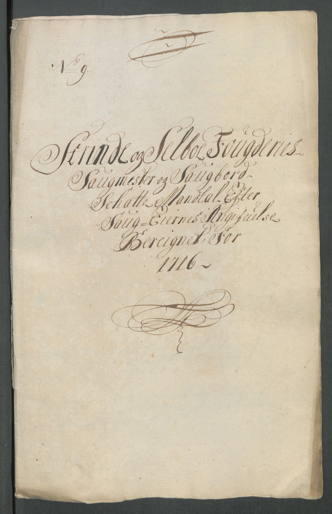 Rentekammeret inntil 1814, Reviderte regnskaper, Fogderegnskap, RA/EA-4092/R61/L4115: Fogderegnskap Strinda og Selbu, 1715-1716, p. 348