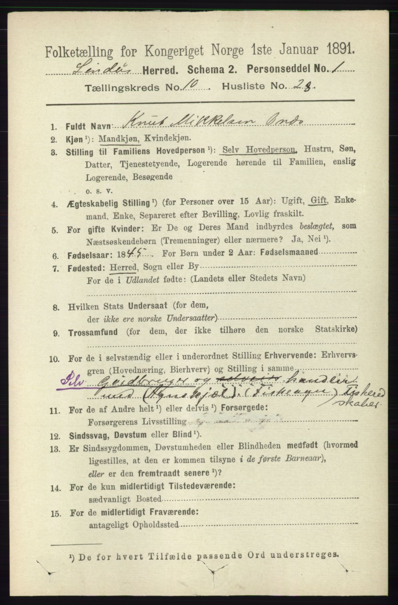 RA, 1891 census for 1263 Lindås, 1891, p. 3602