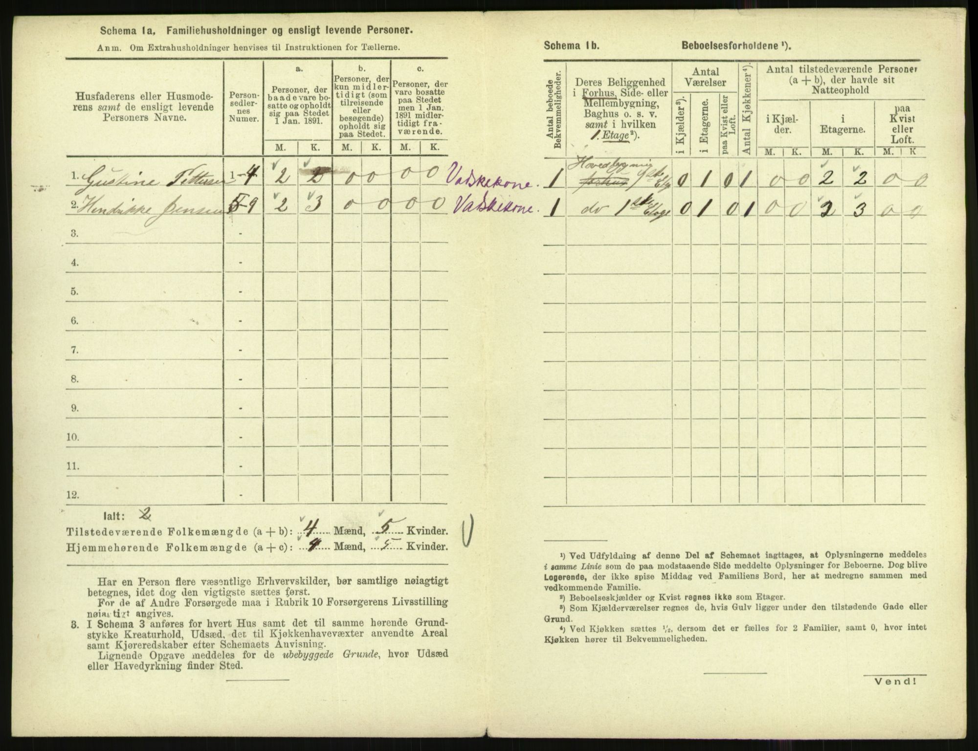 RA, 1891 census for 1002 Mandal, 1891, p. 1154