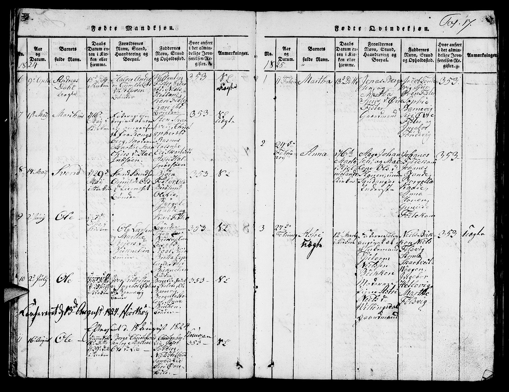 Hjelmeland sokneprestkontor, AV/SAST-A-101843/01/V/L0003: Parish register (copy) no. B 3, 1816-1841, p. 17