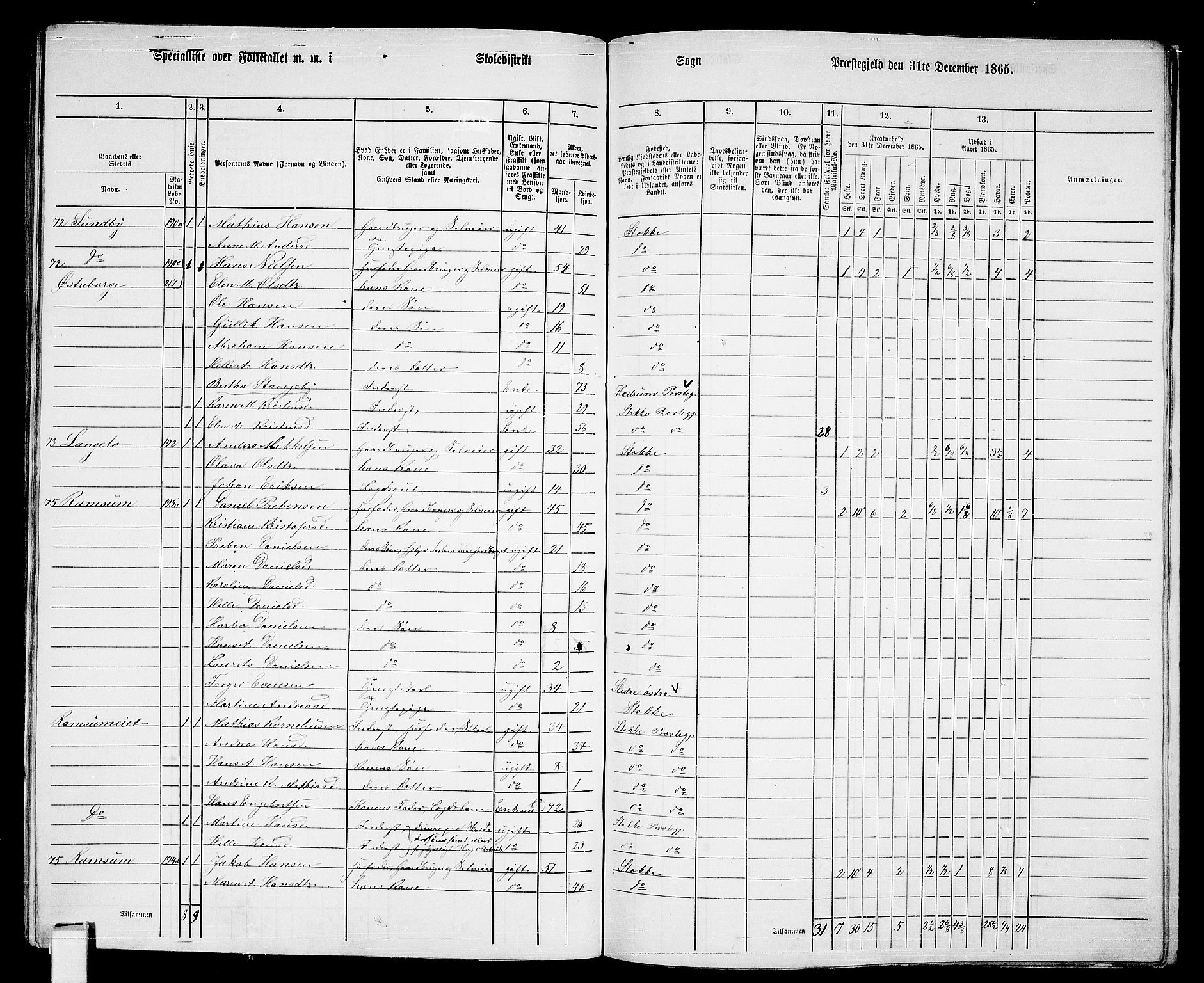 RA, 1865 census for Stokke, 1865, p. 132