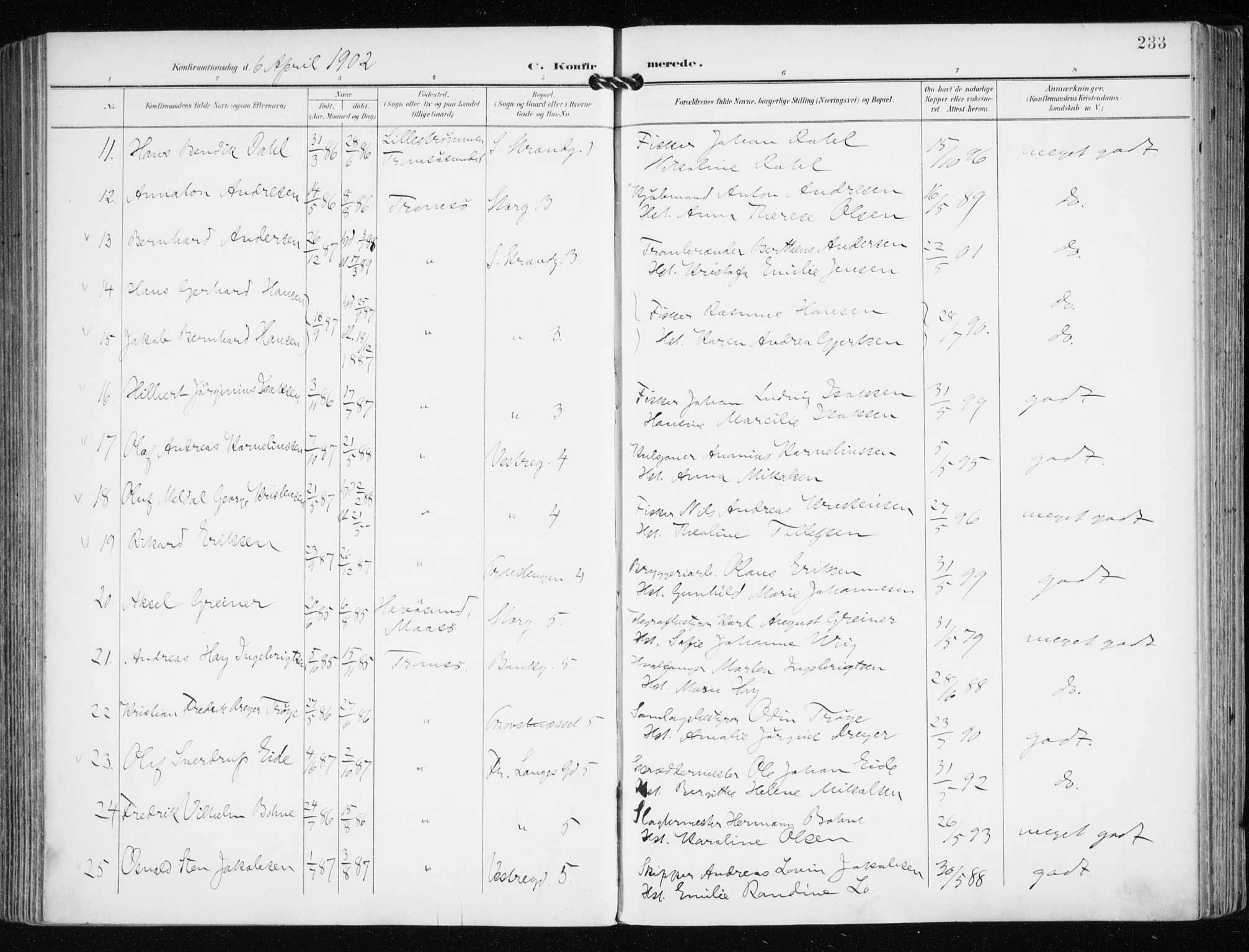 Tromsø sokneprestkontor/stiftsprosti/domprosti, AV/SATØ-S-1343/G/Ga/L0016kirke: Parish register (official) no. 16, 1899-1906, p. 233