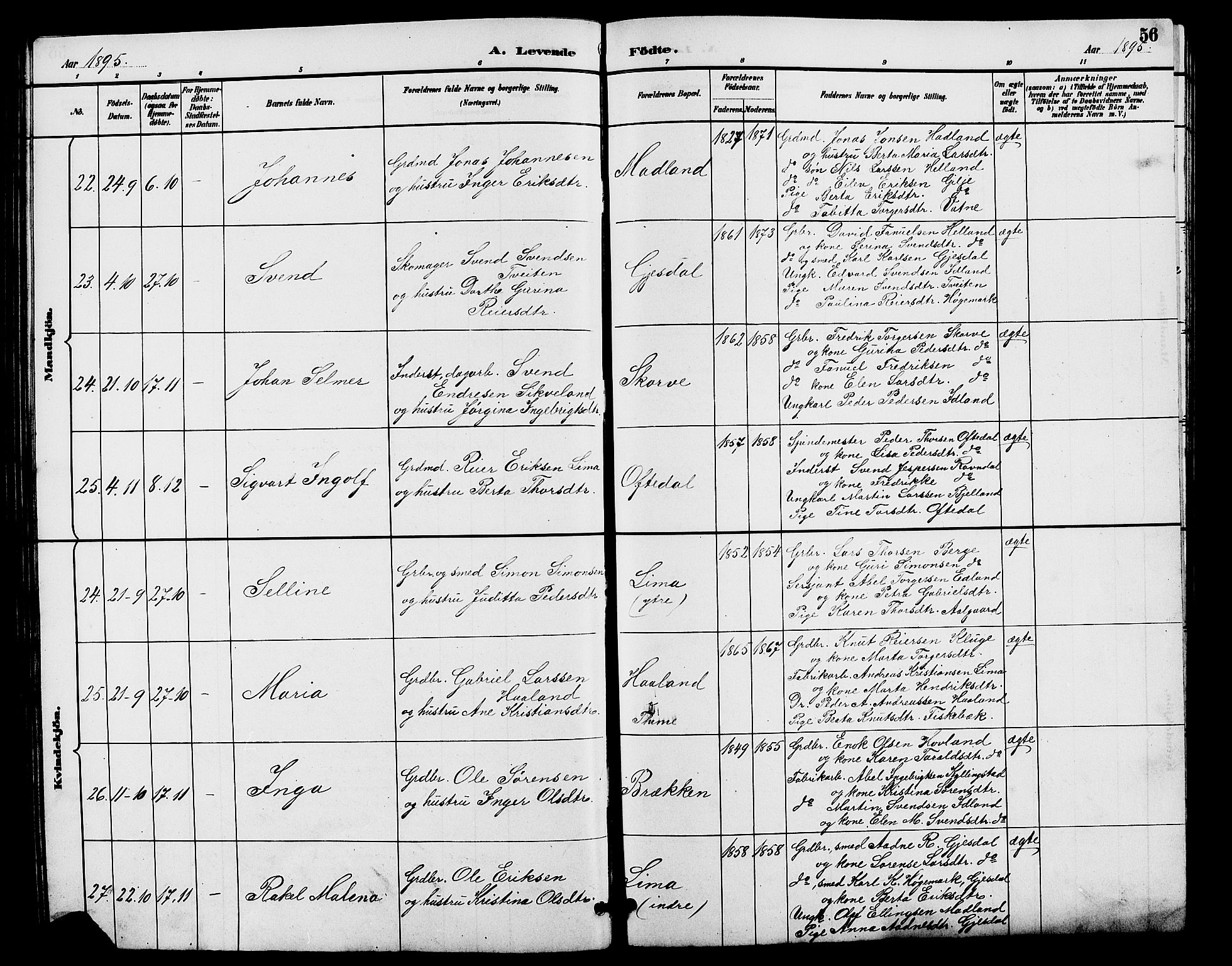 Lye sokneprestkontor, AV/SAST-A-101794/001/30BB/L0008: Parish register (copy) no. B 7, 1887-1901, p. 56