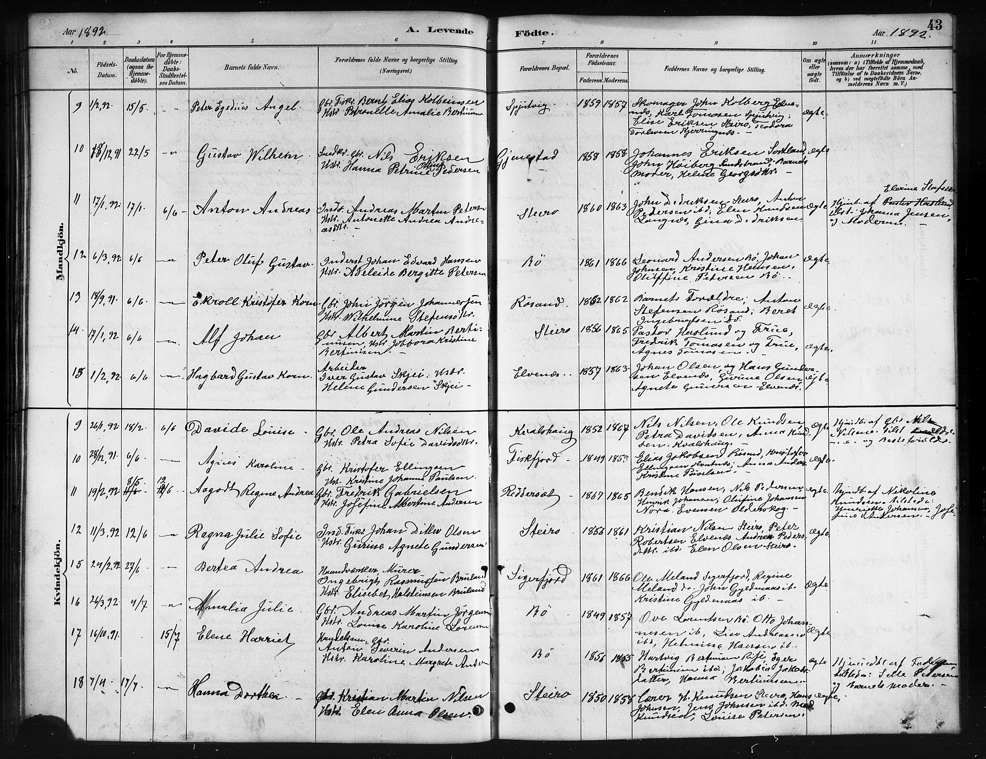 Ministerialprotokoller, klokkerbøker og fødselsregistre - Nordland, SAT/A-1459/895/L1382: Parish register (copy) no. 895C04, 1885-1896, p. 43