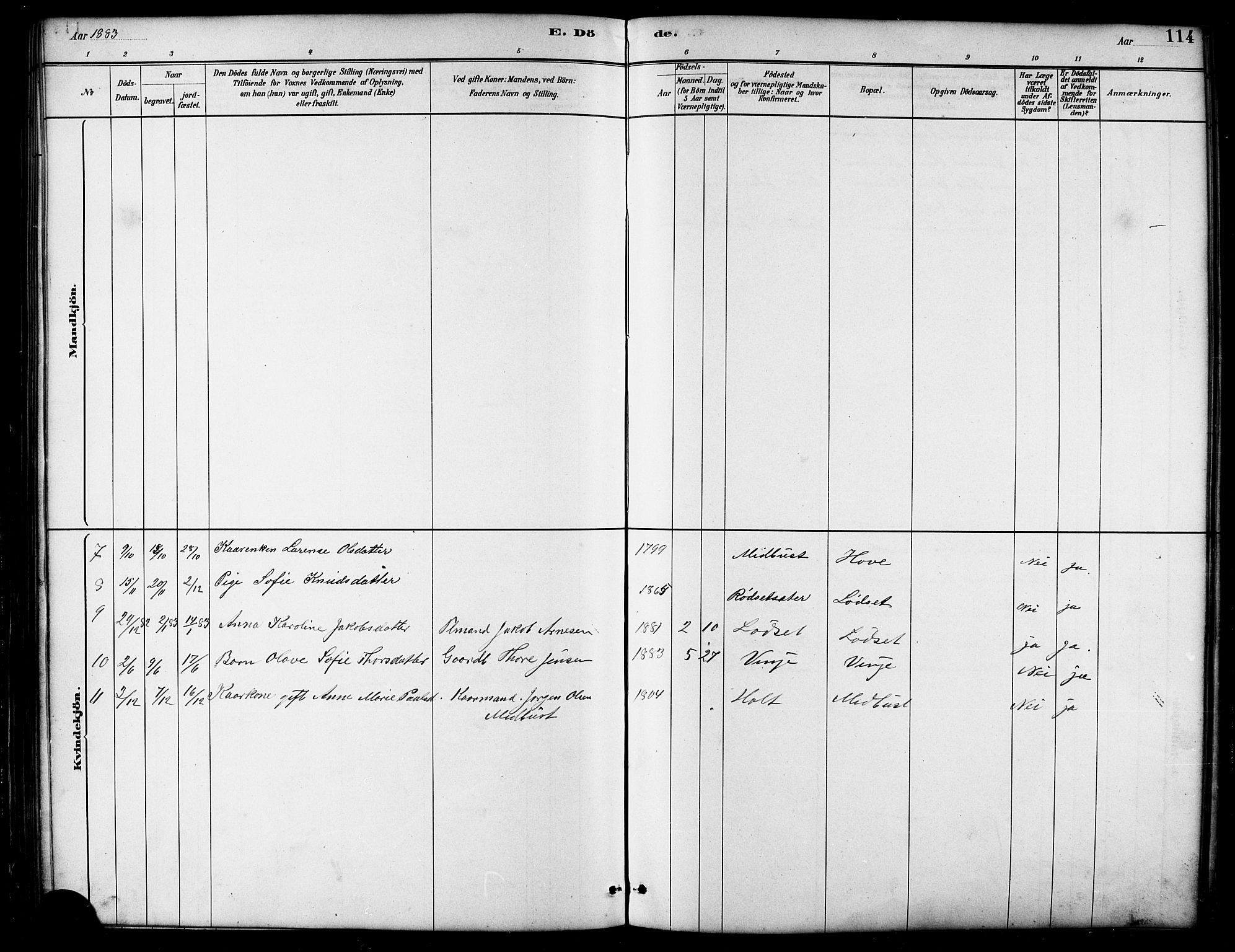 Ministerialprotokoller, klokkerbøker og fødselsregistre - Møre og Romsdal, SAT/A-1454/521/L0302: Parish register (copy) no. 521C03, 1882-1907, p. 114