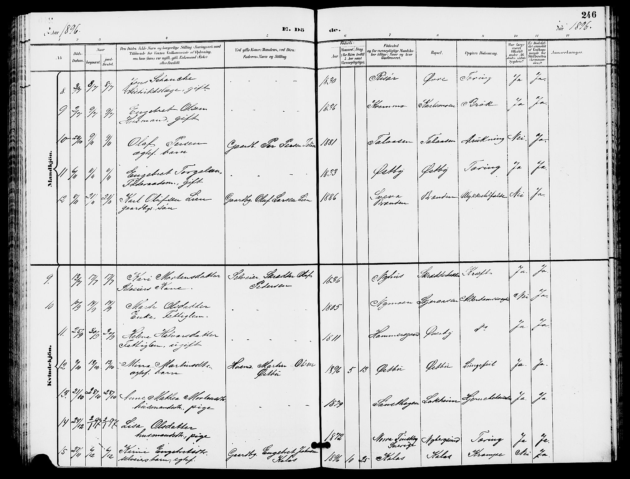 Trysil prestekontor, SAH/PREST-046/H/Ha/Hab/L0006: Parish register (copy) no. 6, 1896-1912, p. 246