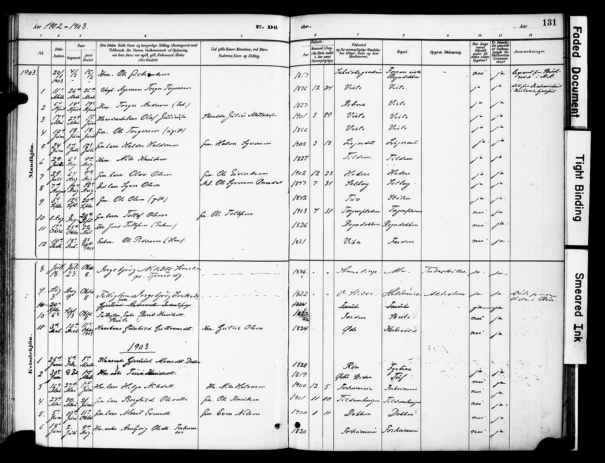 Vestre Slidre prestekontor, SAH/PREST-136/H/Ha/Haa/L0006: Parish register (official) no. 6, 1881-1912, p. 131