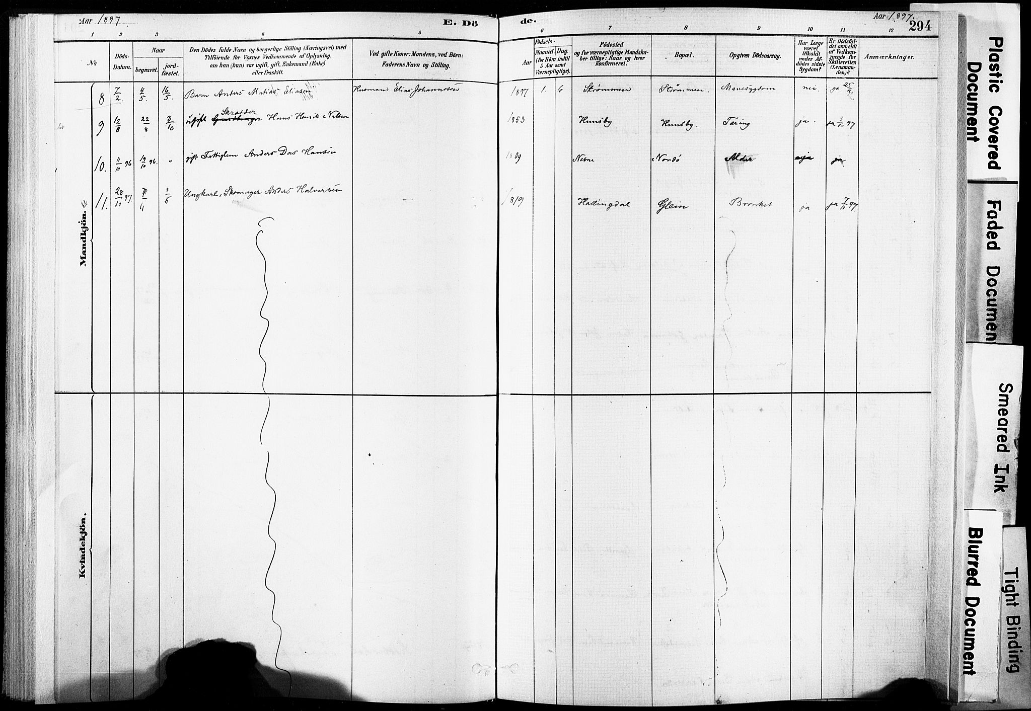 Ministerialprotokoller, klokkerbøker og fødselsregistre - Nordland, SAT/A-1459/835/L0526: Parish register (official) no. 835A03II, 1881-1910, p. 294