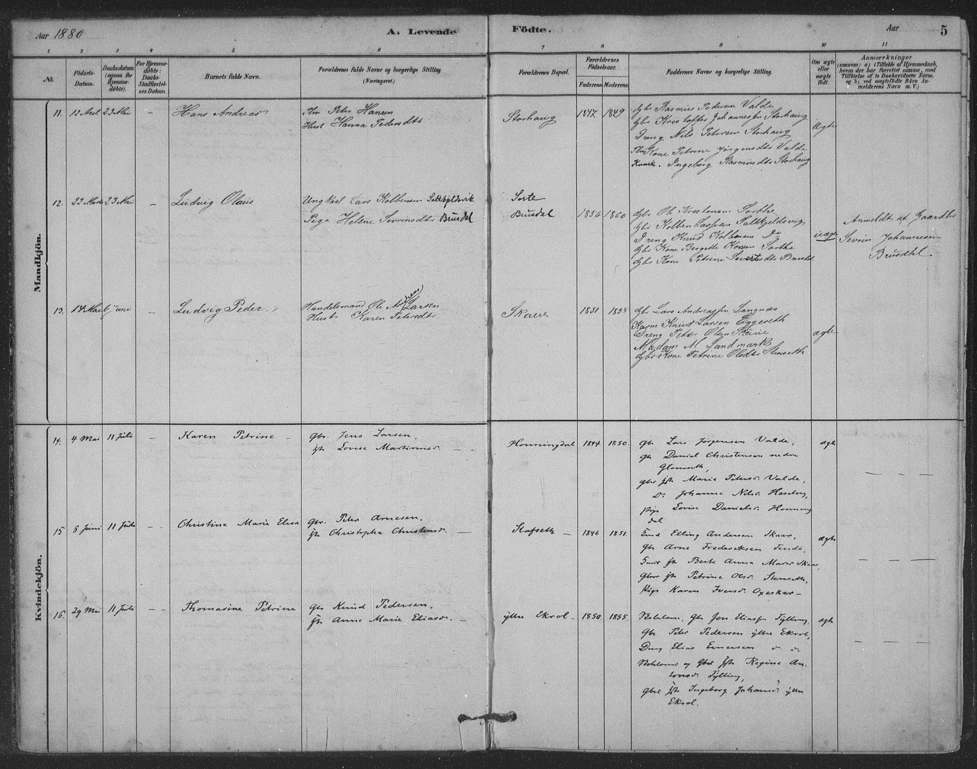 Ministerialprotokoller, klokkerbøker og fødselsregistre - Møre og Romsdal, AV/SAT-A-1454/524/L0356: Parish register (official) no. 524A08, 1880-1899, p. 5