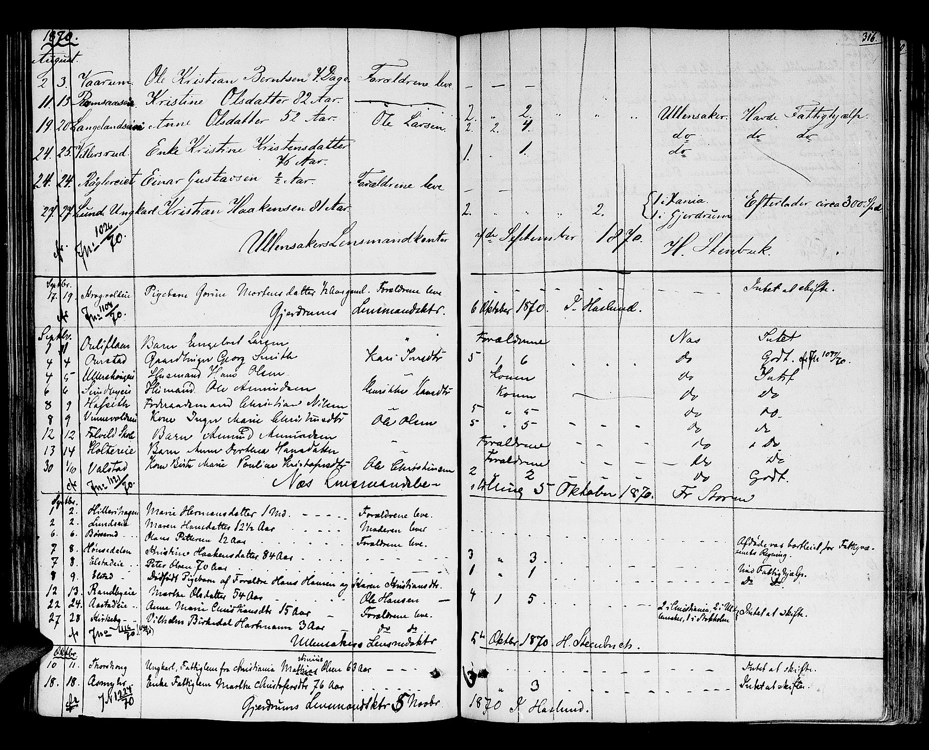 Nes tingrett, AV/SAO-A-10548/H/Hb/L0001: Registrerings- og forhandlingsprotokoll "M", 1845-1876, p. 315b-316a